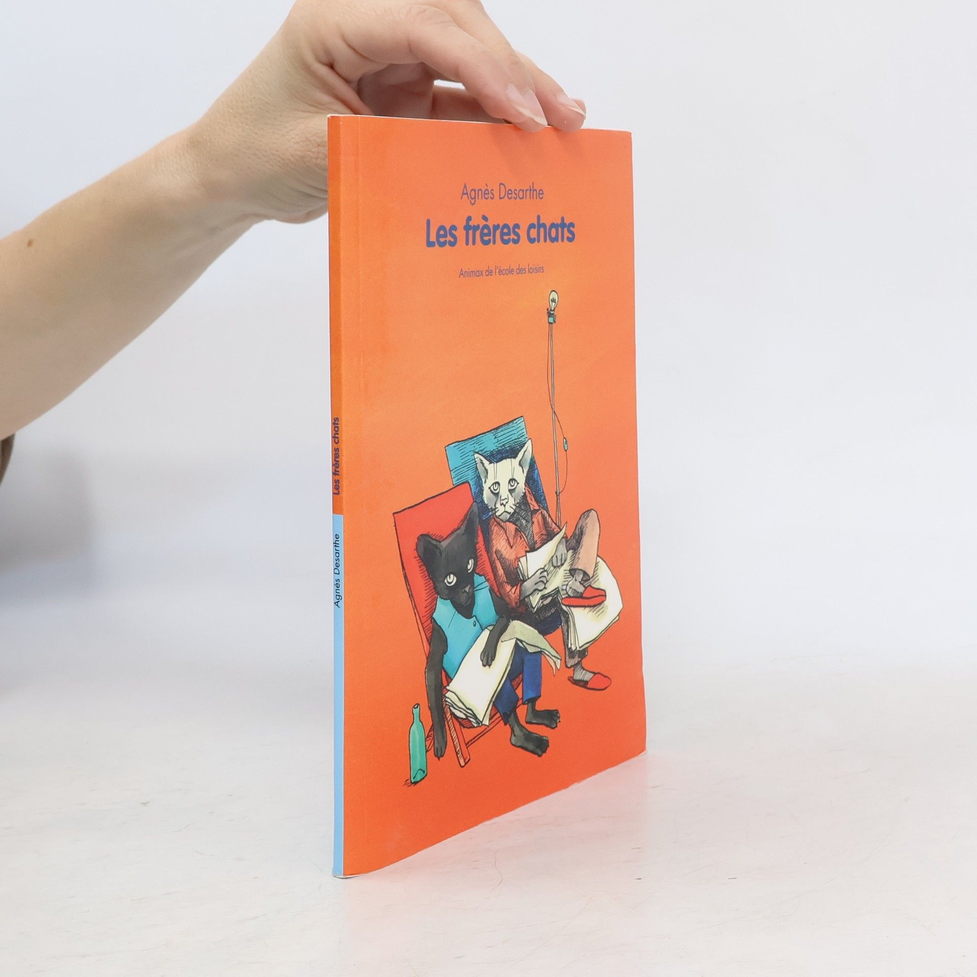 Agnès Desarthe Les frères chats