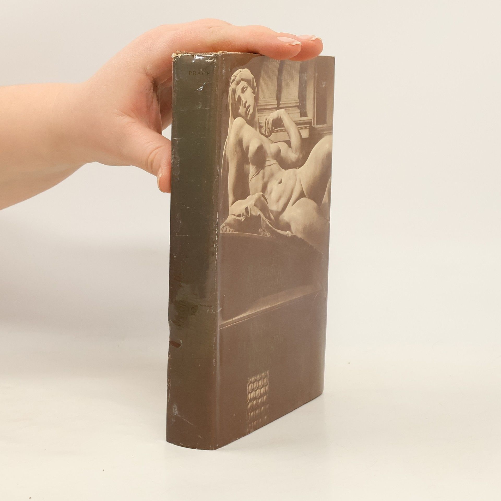 Rolando Cristofanelli Deník Michelangela blázna