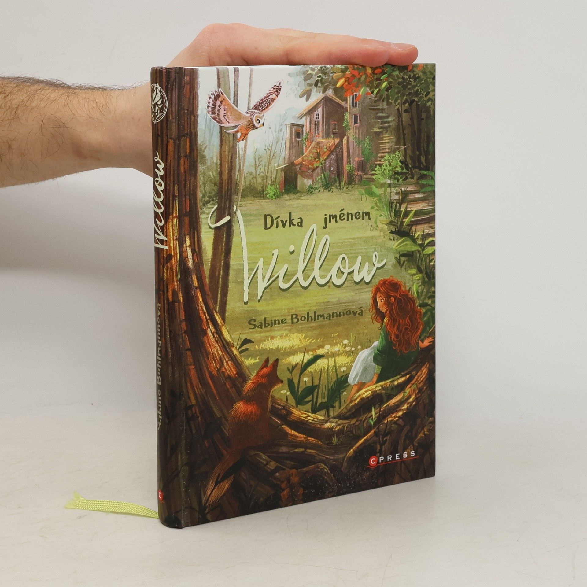 Sabine Bohlmann Dívka jménem Willow