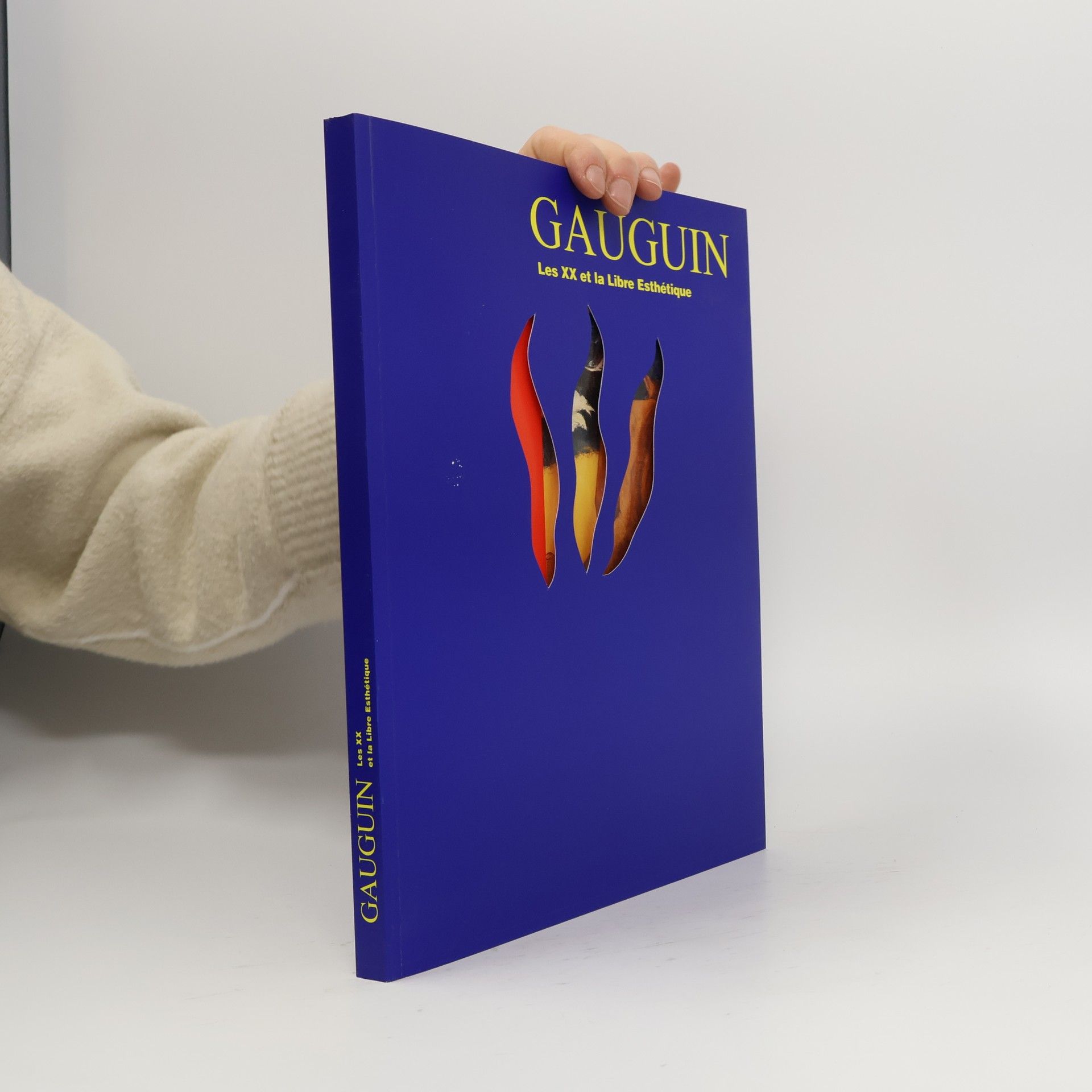 Kolektív autorov Gauguin: Les XX et la Libre Esthétique