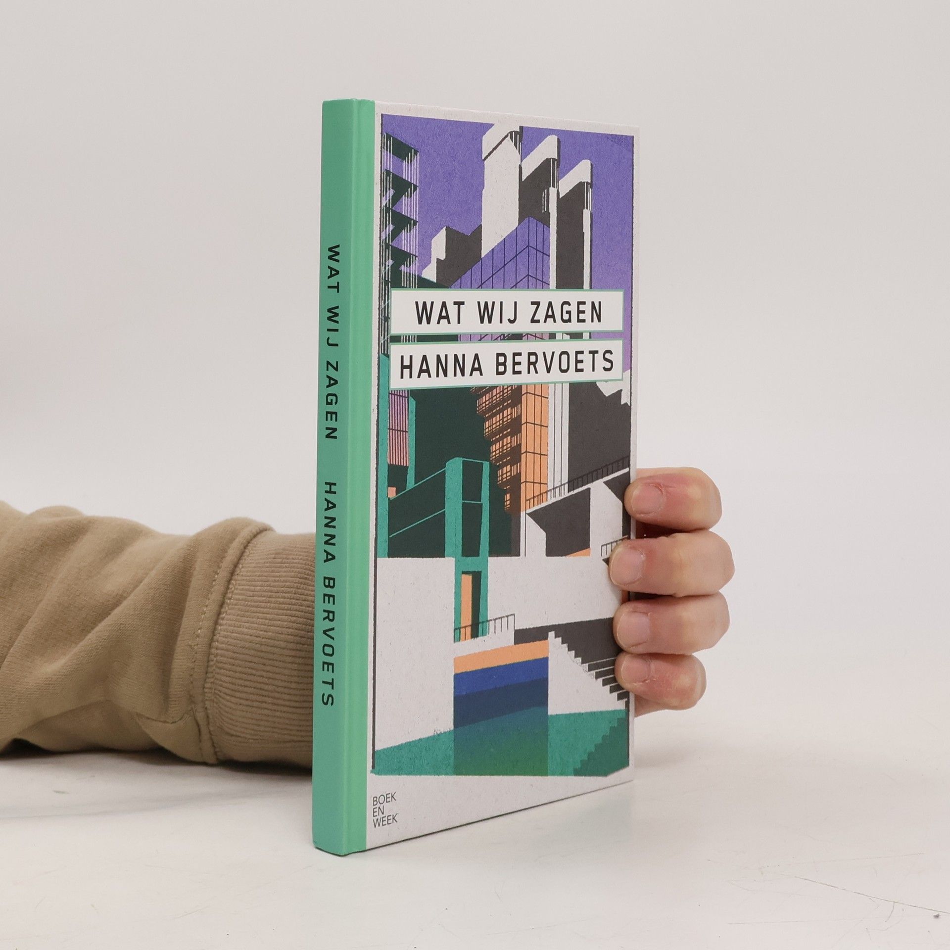 Hanna Bervoets Wat wij zagen