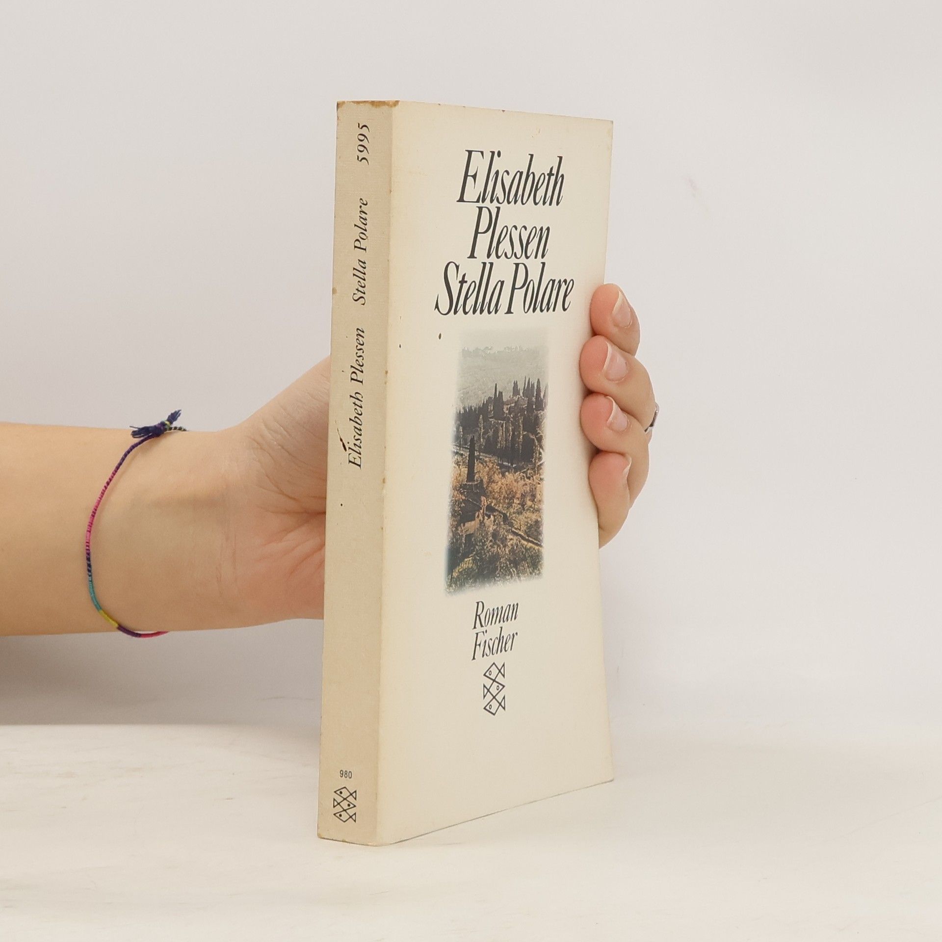 Elisabeth Plessen Stella polare