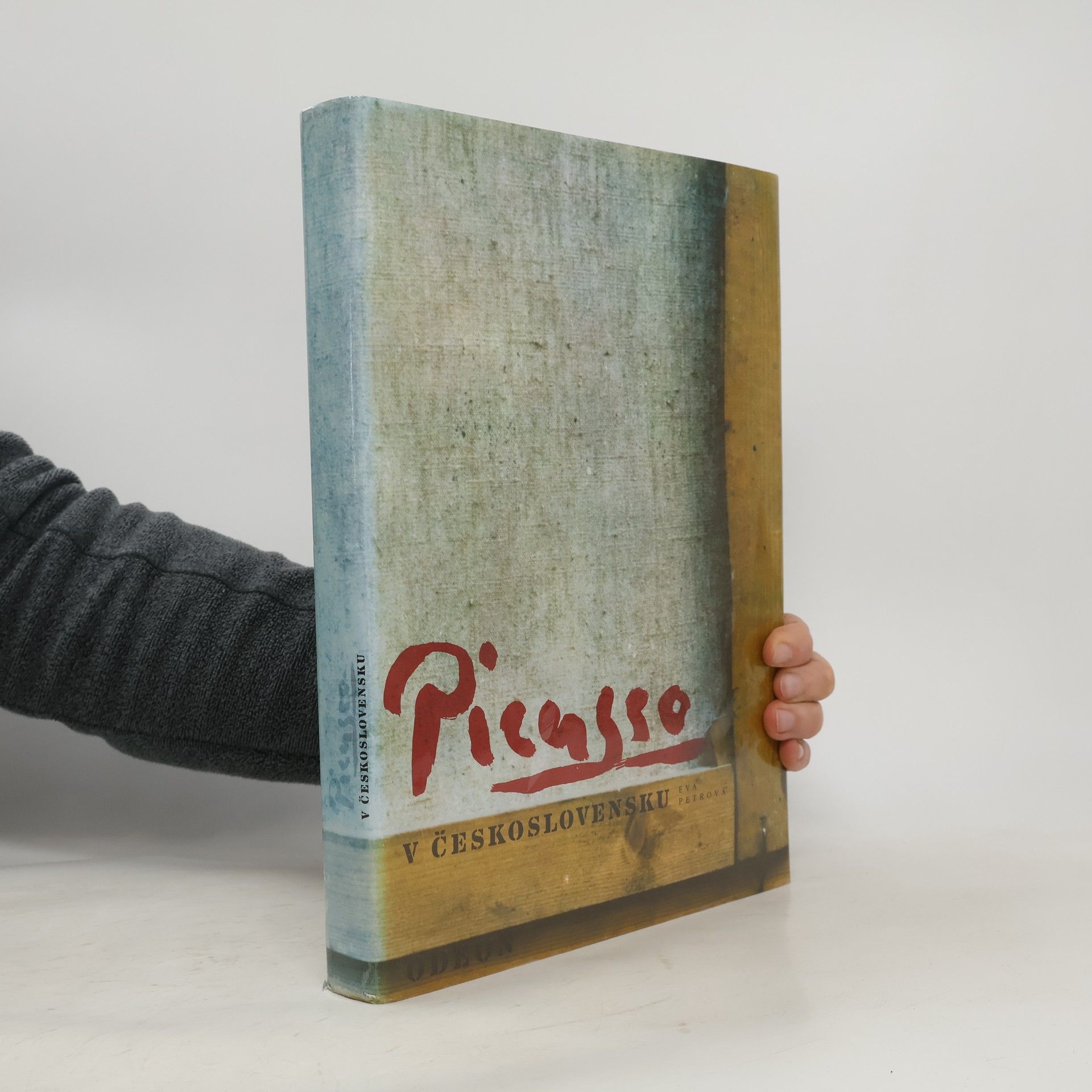 Eva Petrová Picasso v Československu