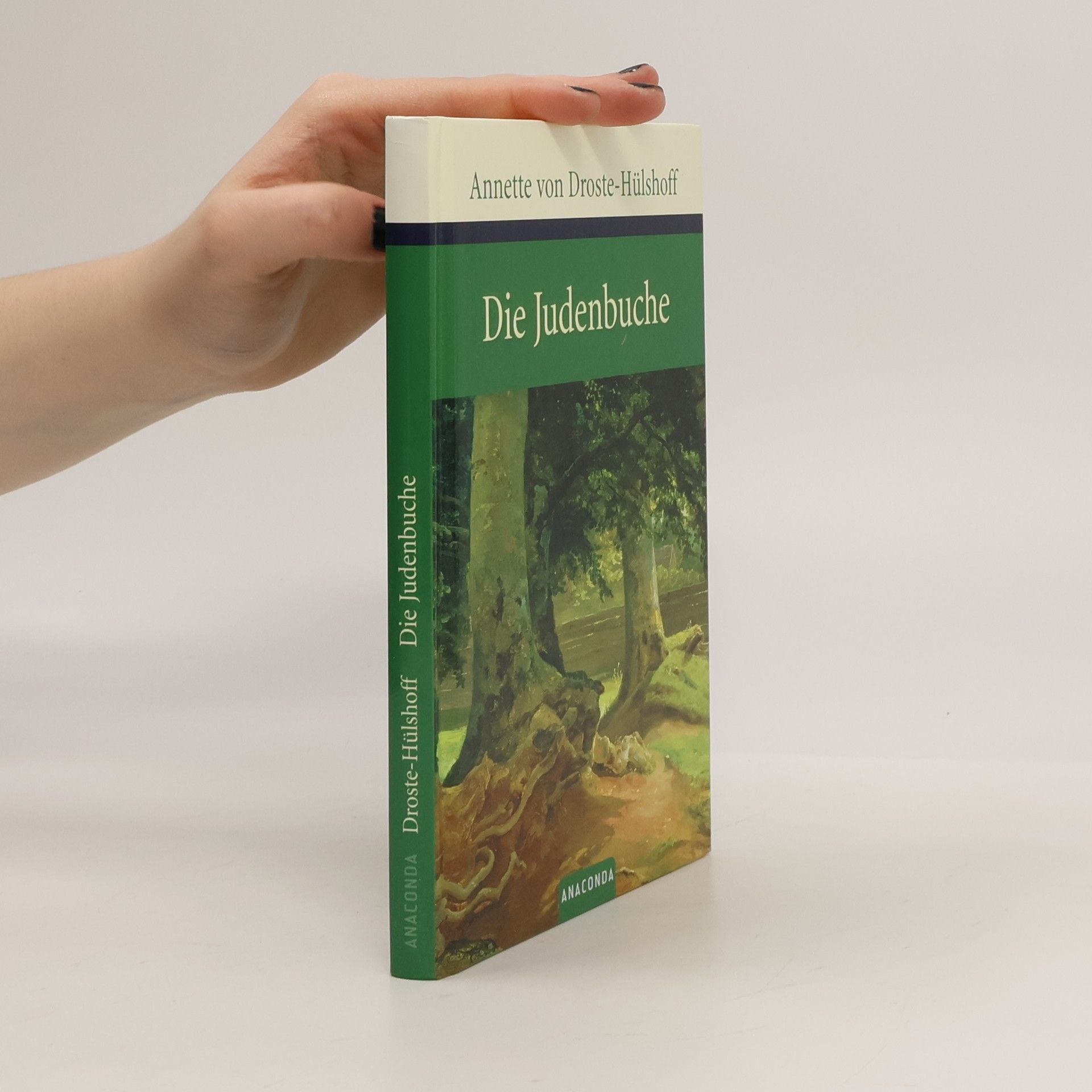 Annette von Droste-Hülshoff Die Judenbuche