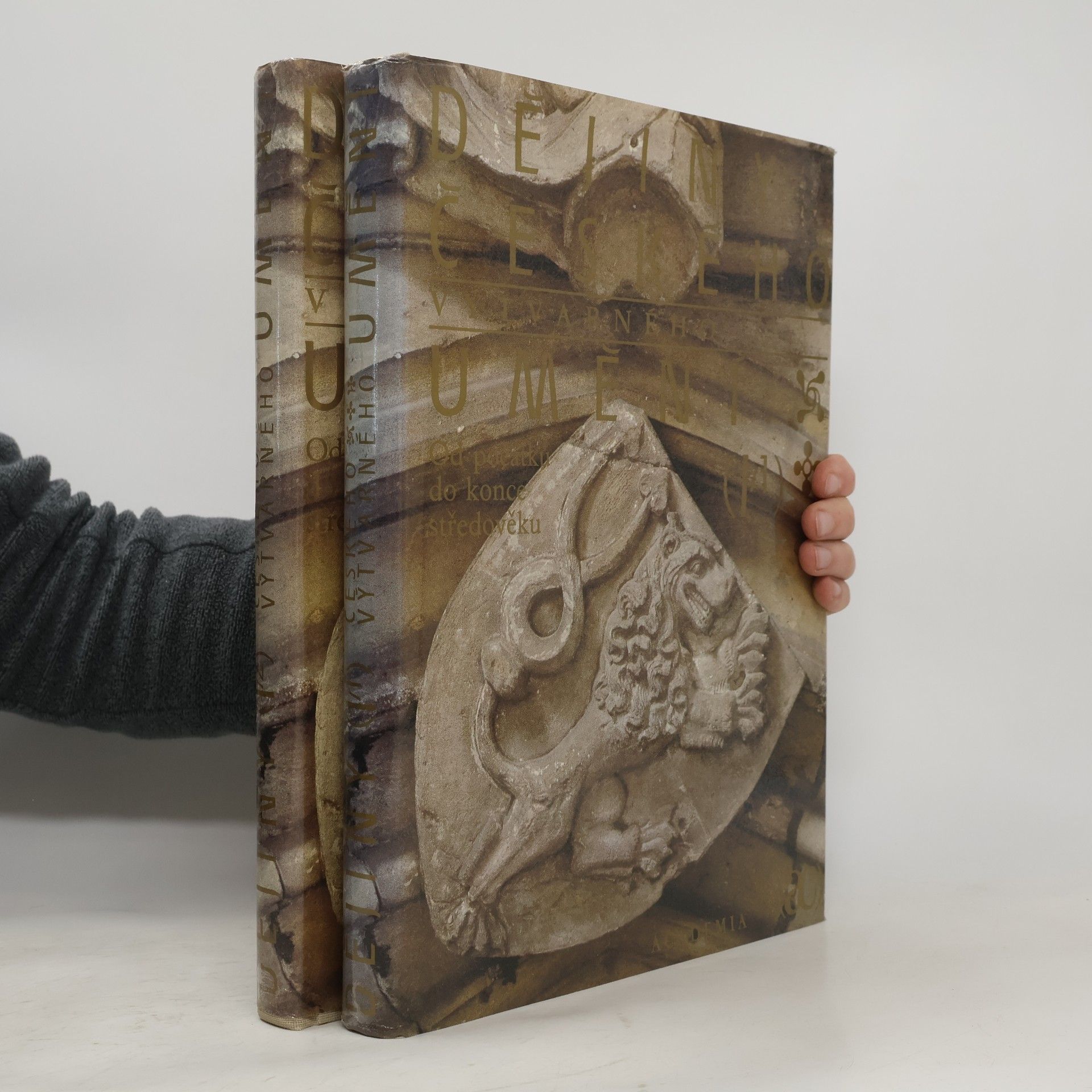 Kolektiv autorů Dějiny českého výtvarného umění I. a II. díl