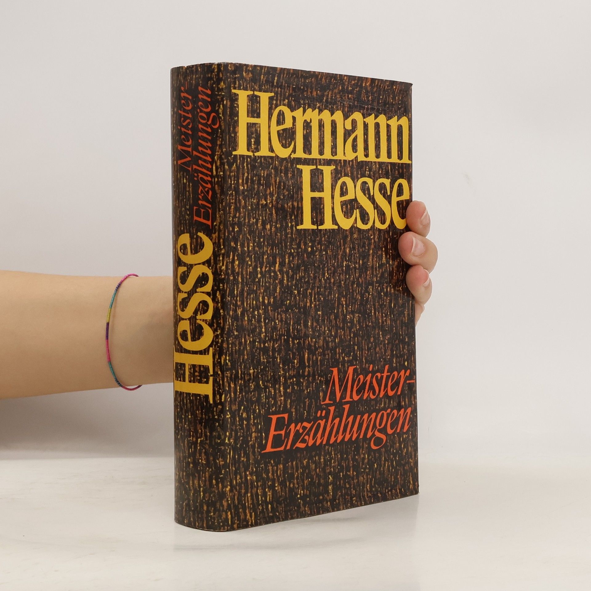 Hermann Hesse Meister Erzählungen