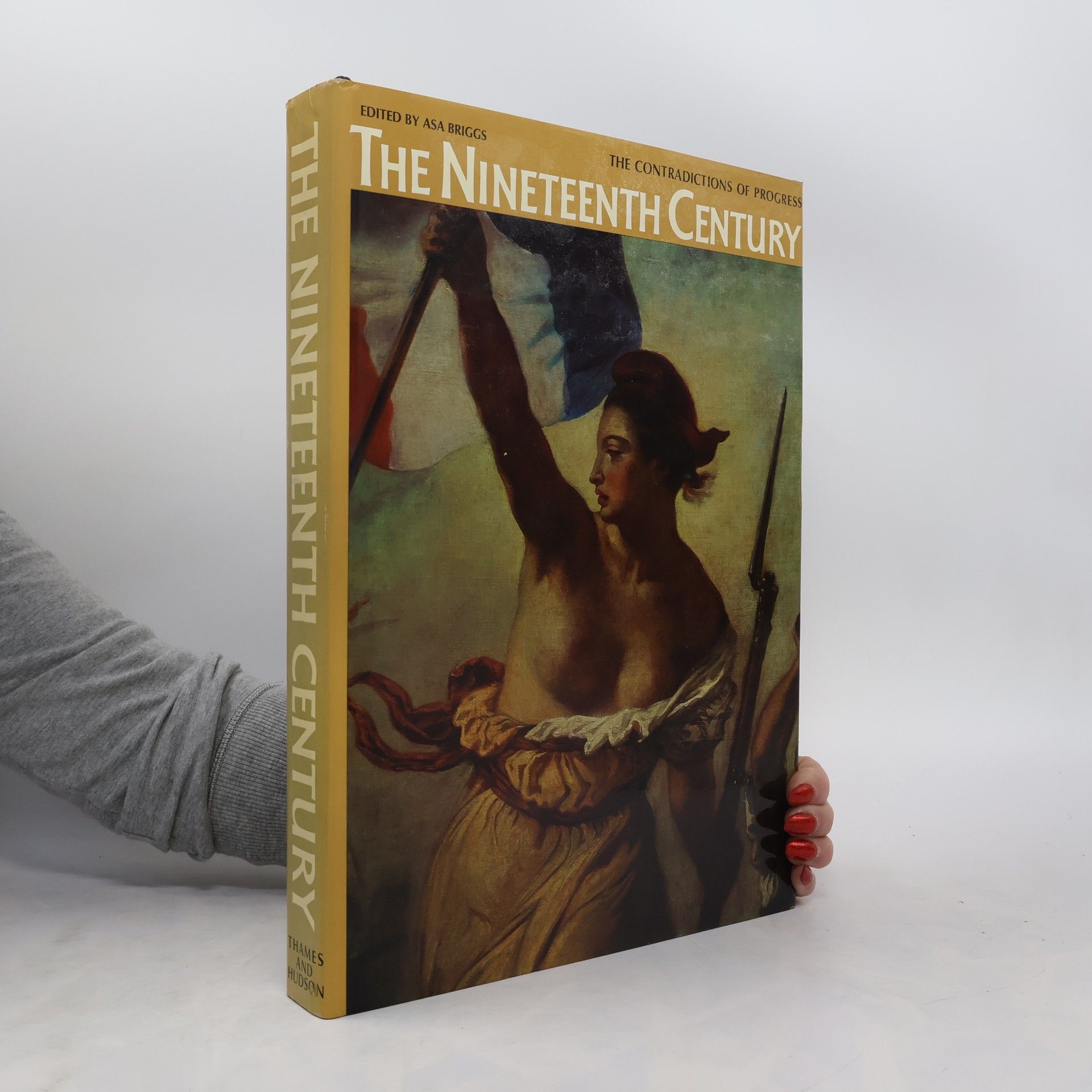 Asa Briggs The Nineteenth Century