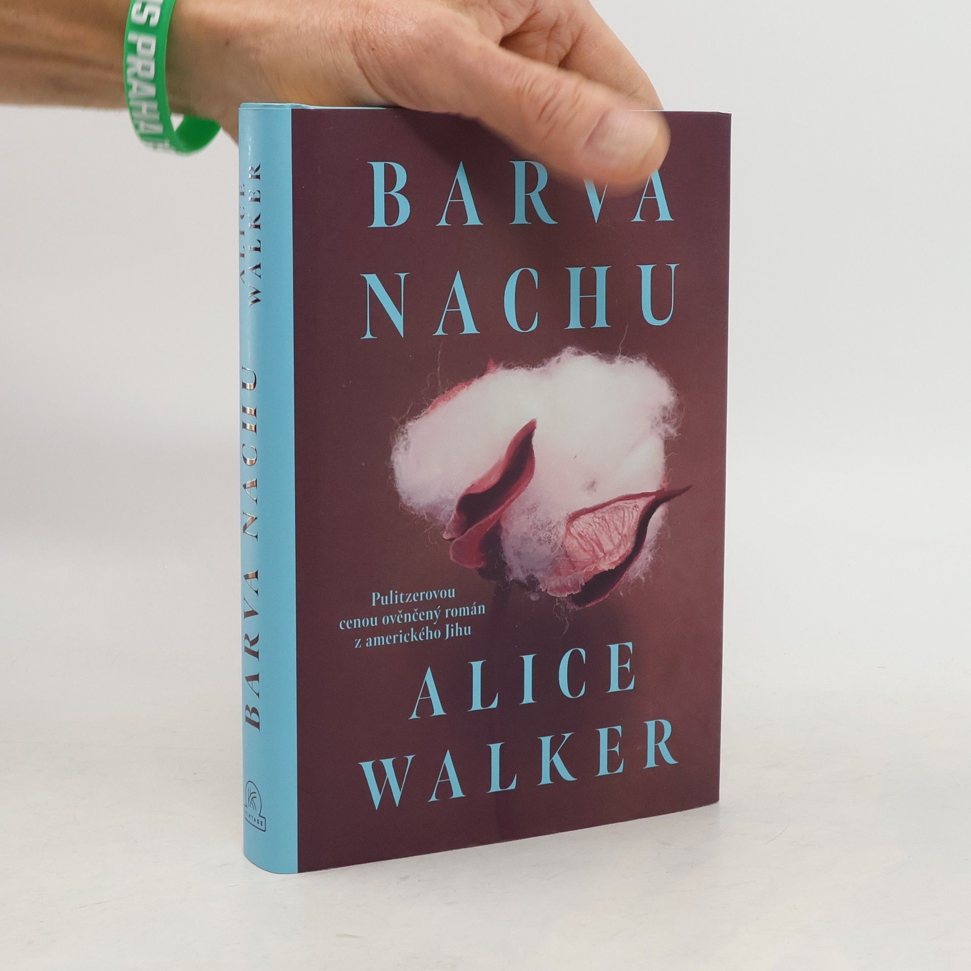 Jiří Hrubý Barva nachu