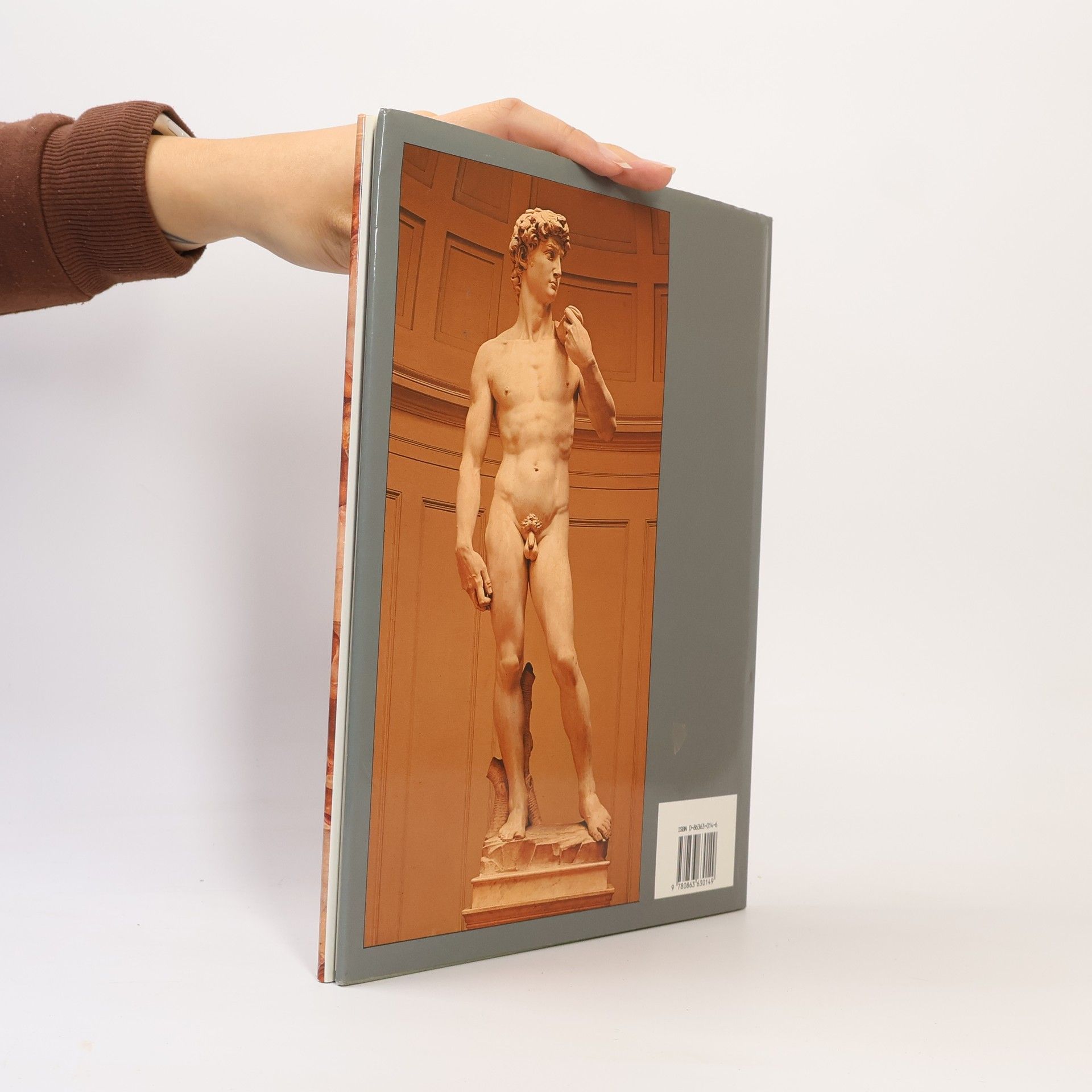 Jeffrey Daniels Michelangelo