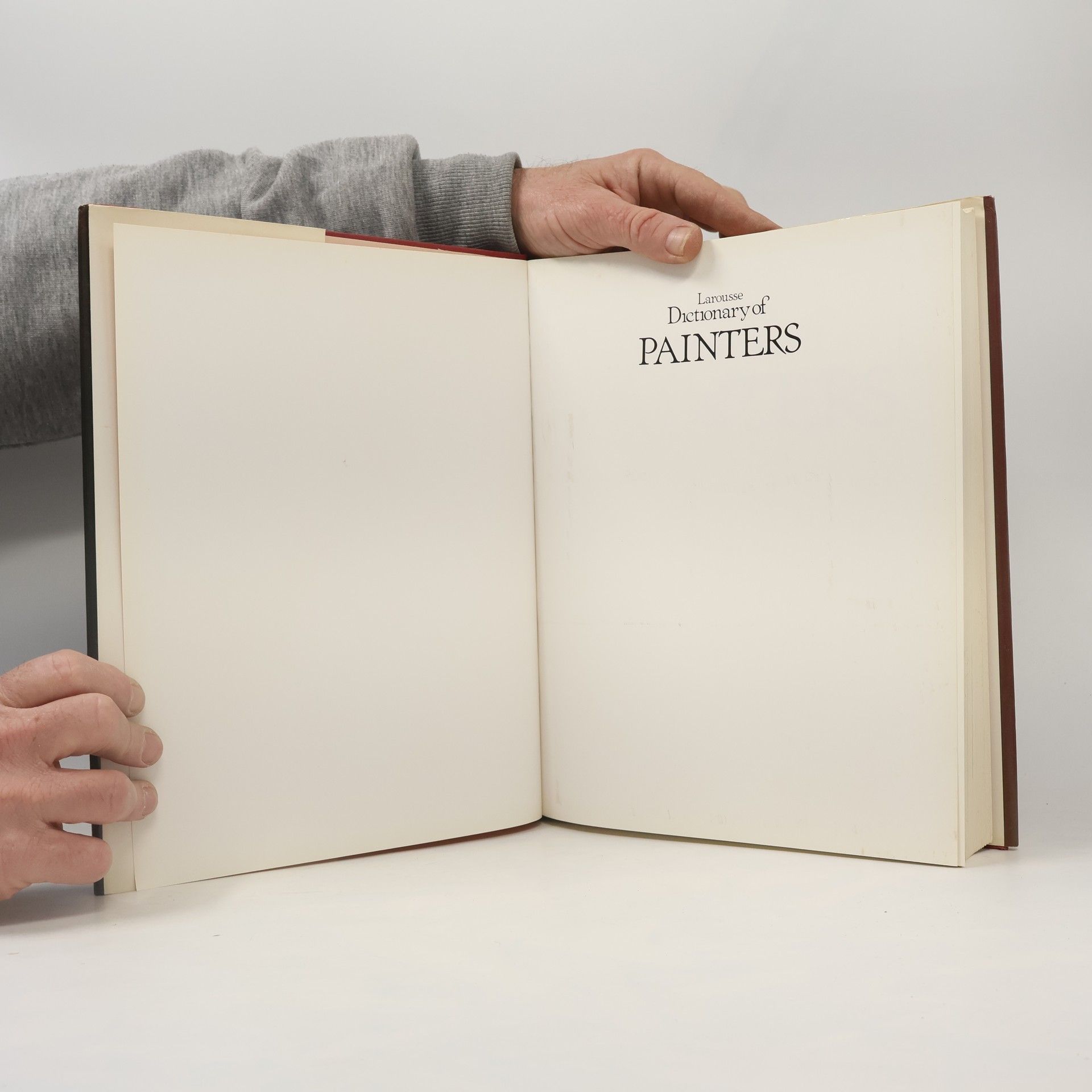 AA.VV. Larousse Dictionary of Painters