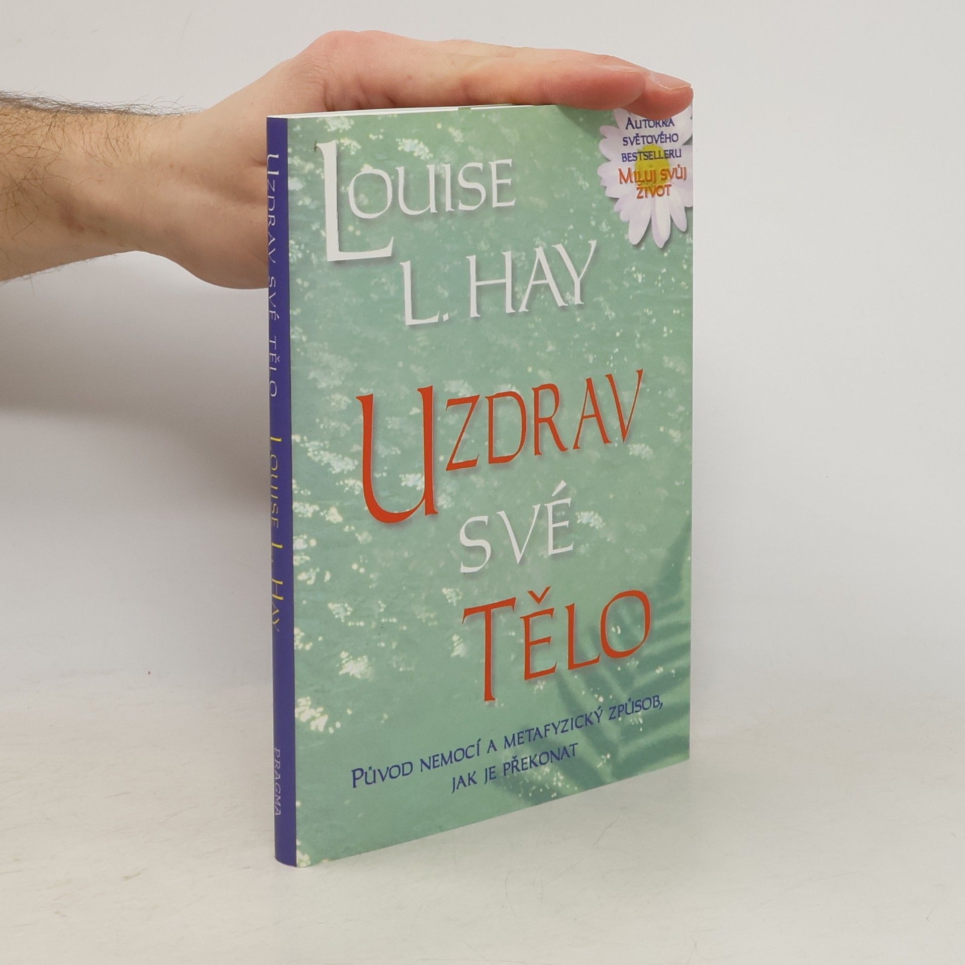 Louise Lynn Hay Uzdrav své tělo: Původ nemocí a metafyzický způsob, jak je překonat