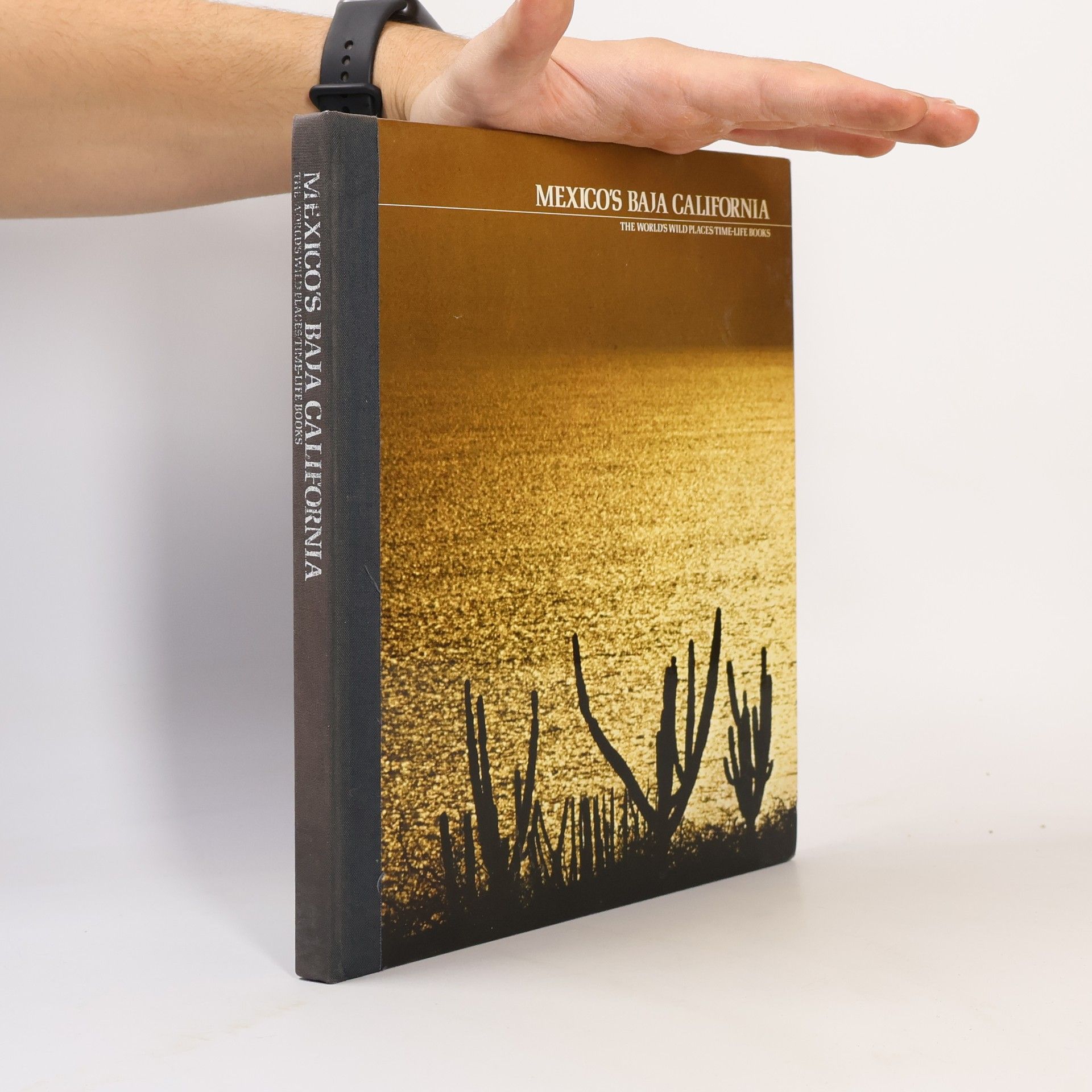 William Weber Johnson Baja California