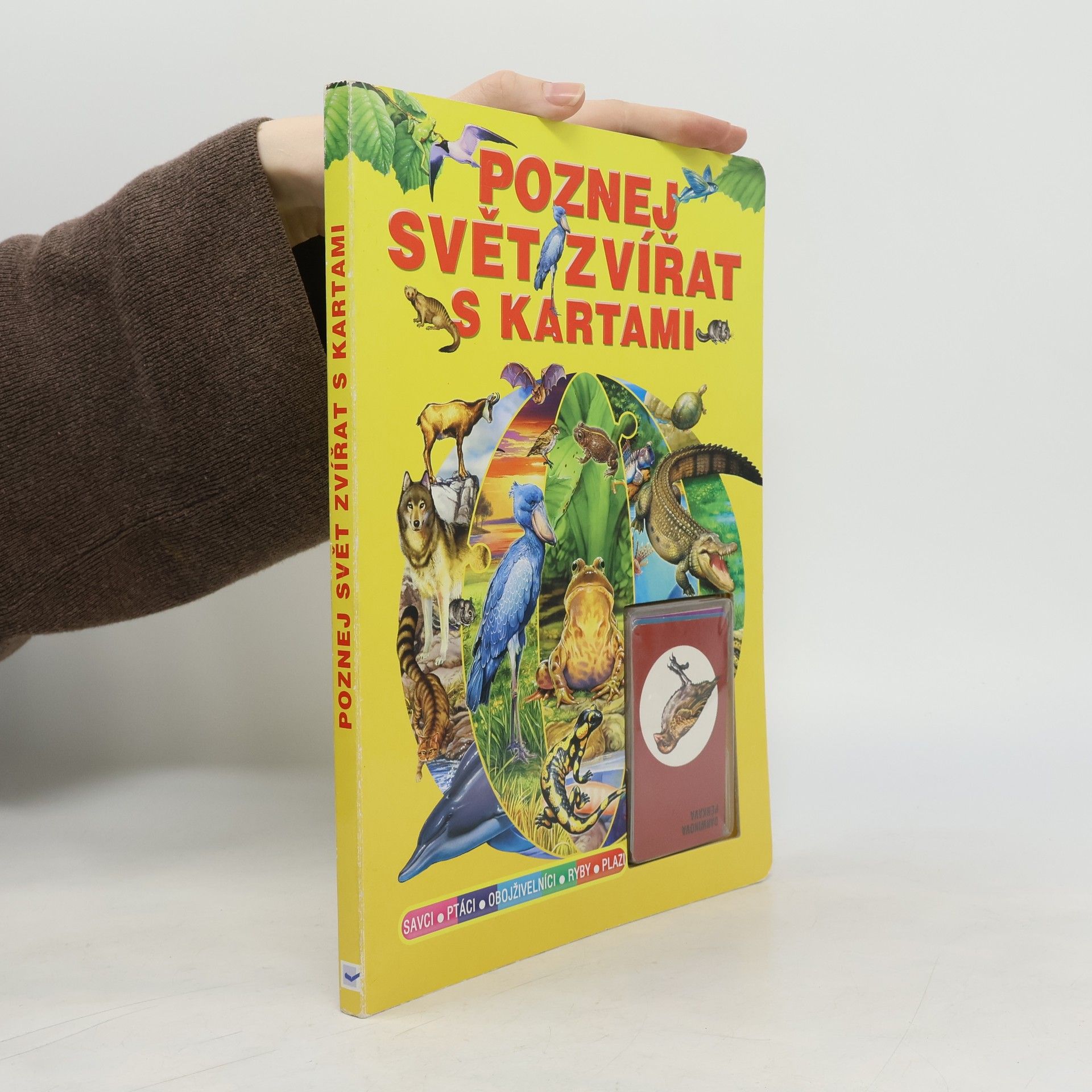 Katarzyna Bulman Poznej svět zvířat s kartami