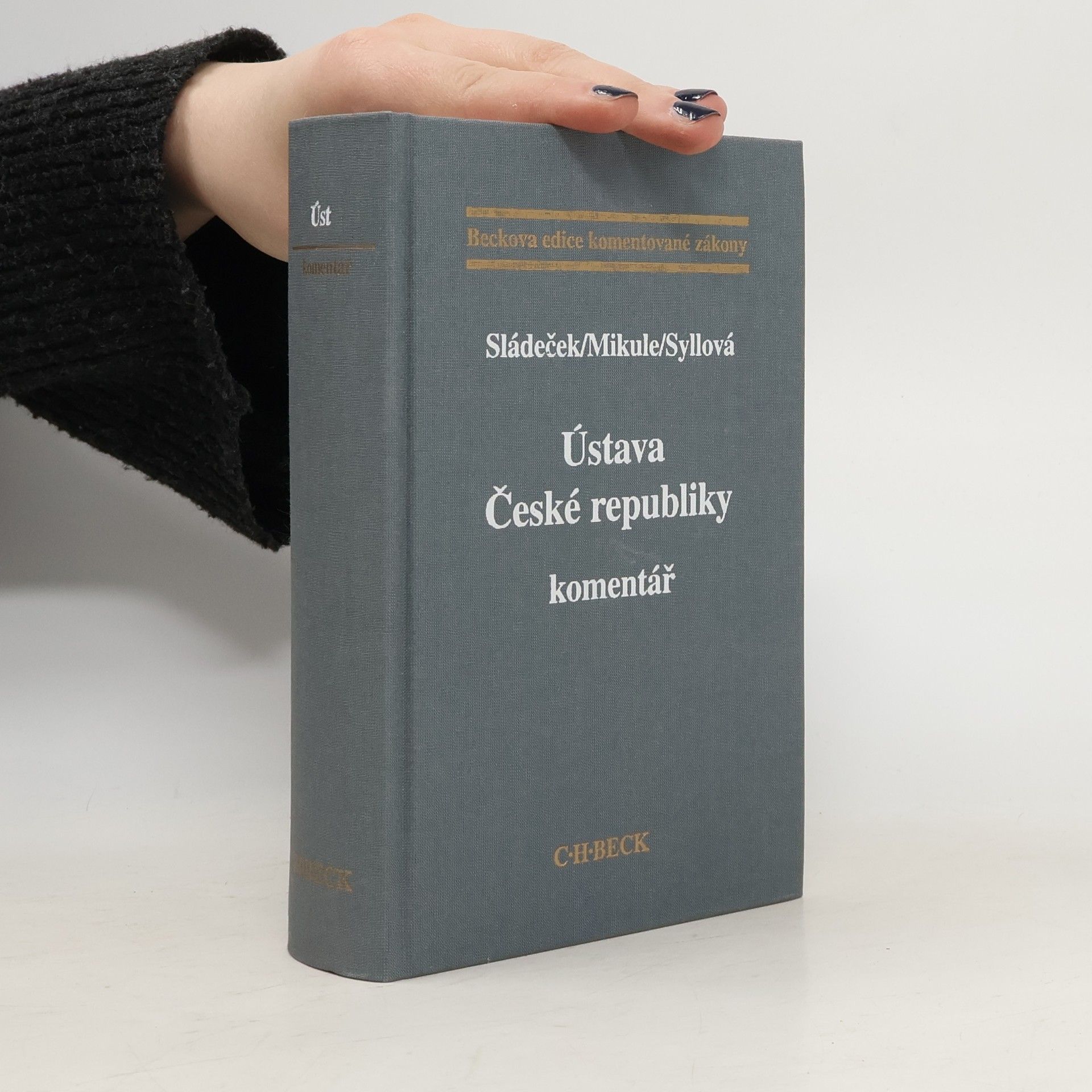 Ústava České republiky. Komentář