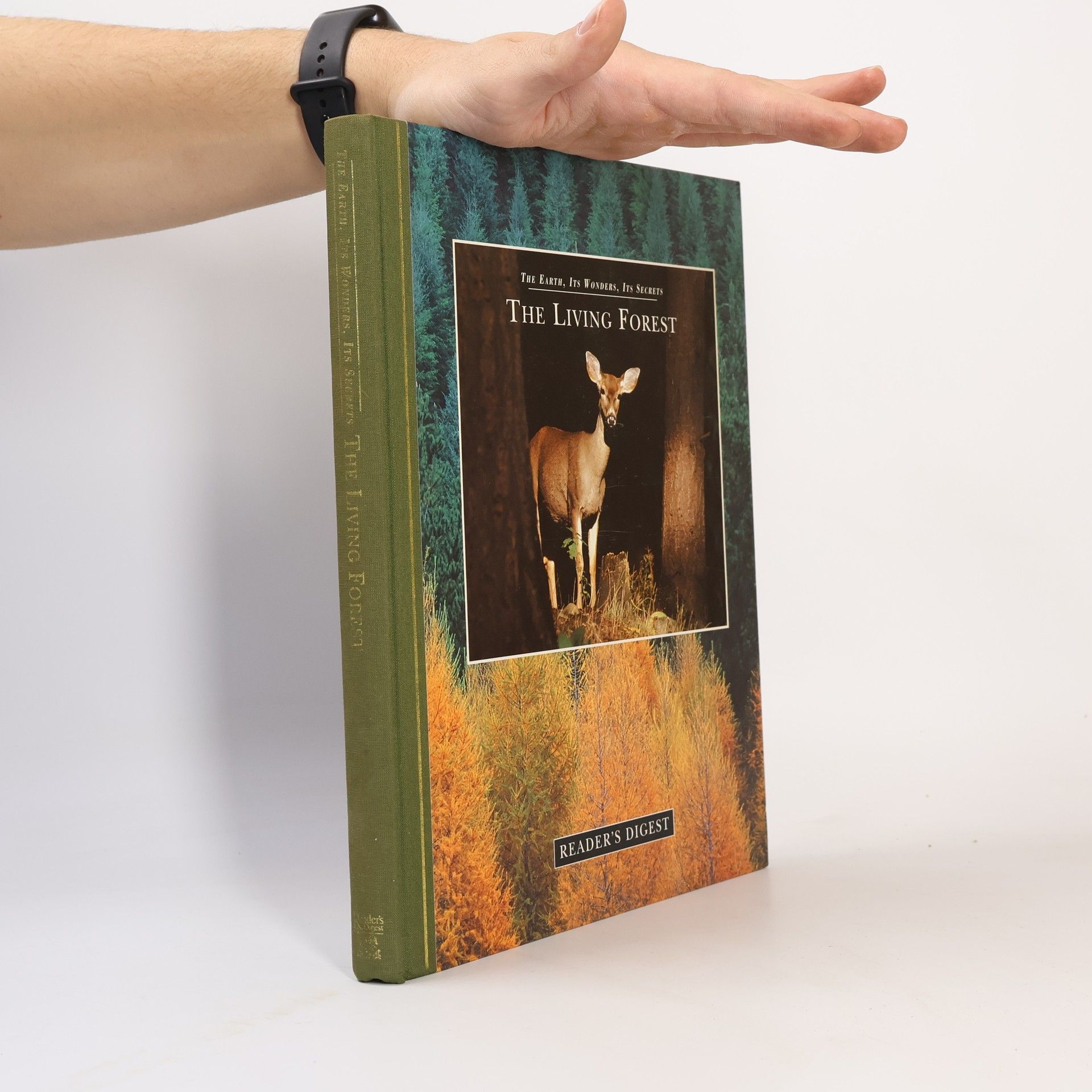 David Burnie The Living Forest