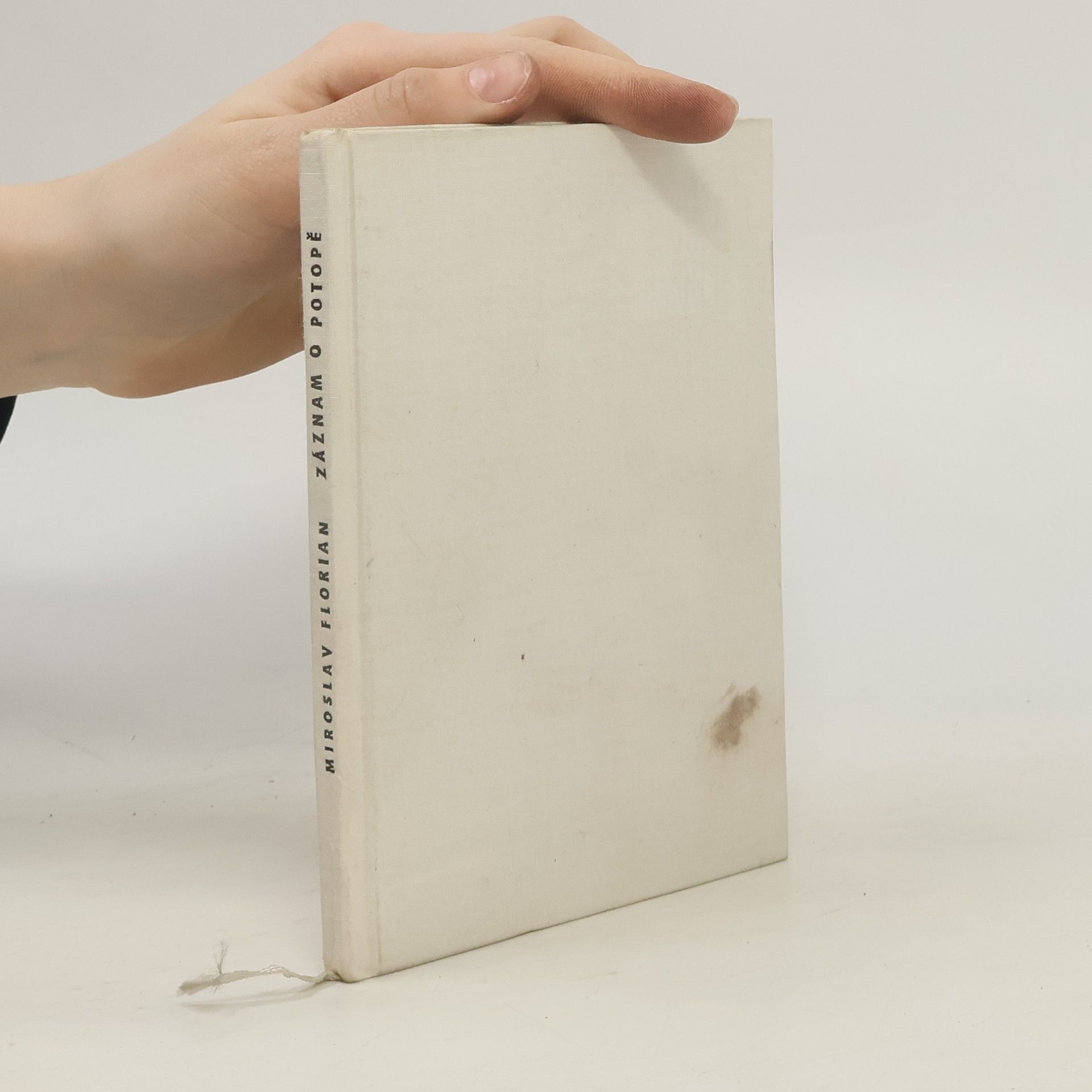 Miroslav Florian Záznam o potopě