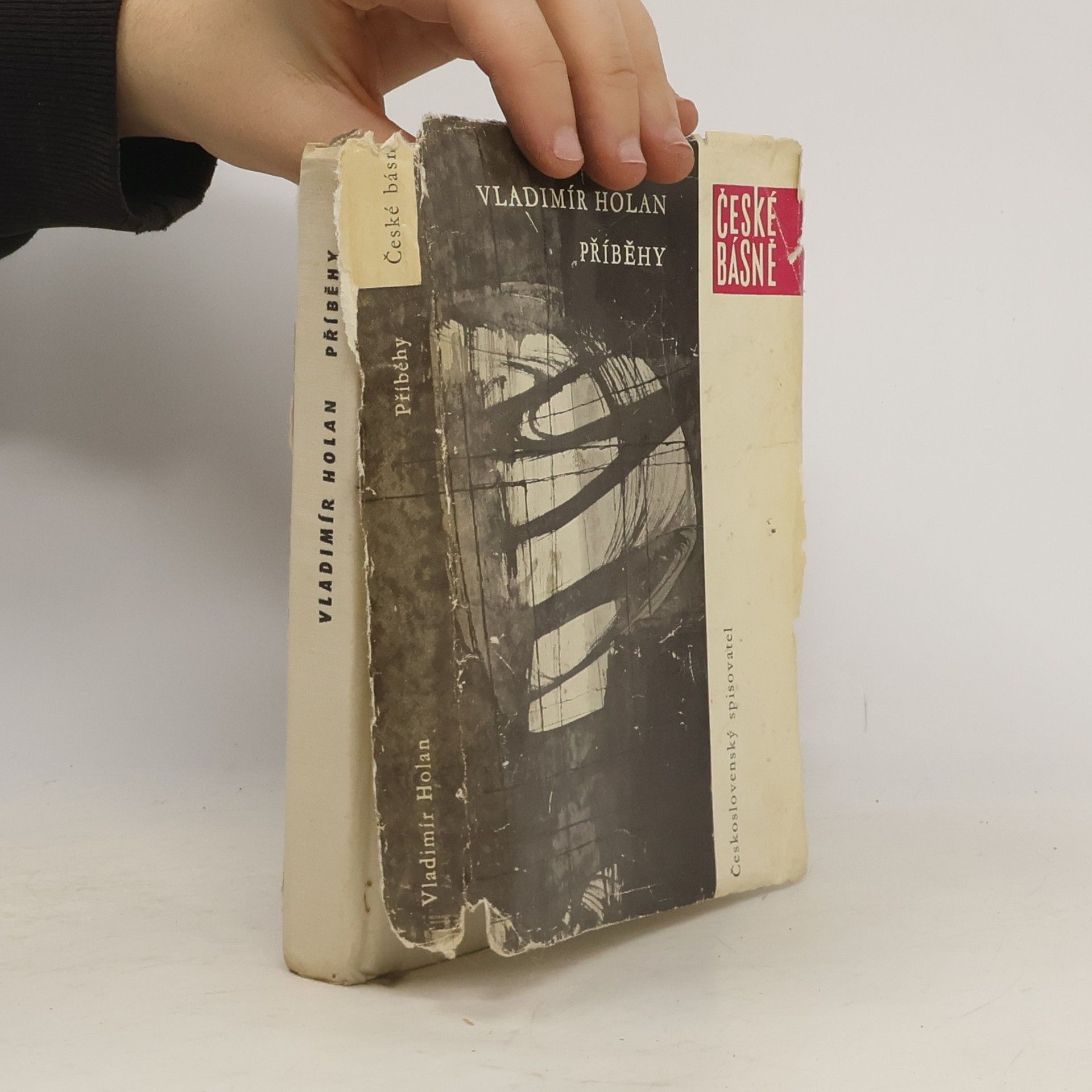 Vladimír Holan Příběhy