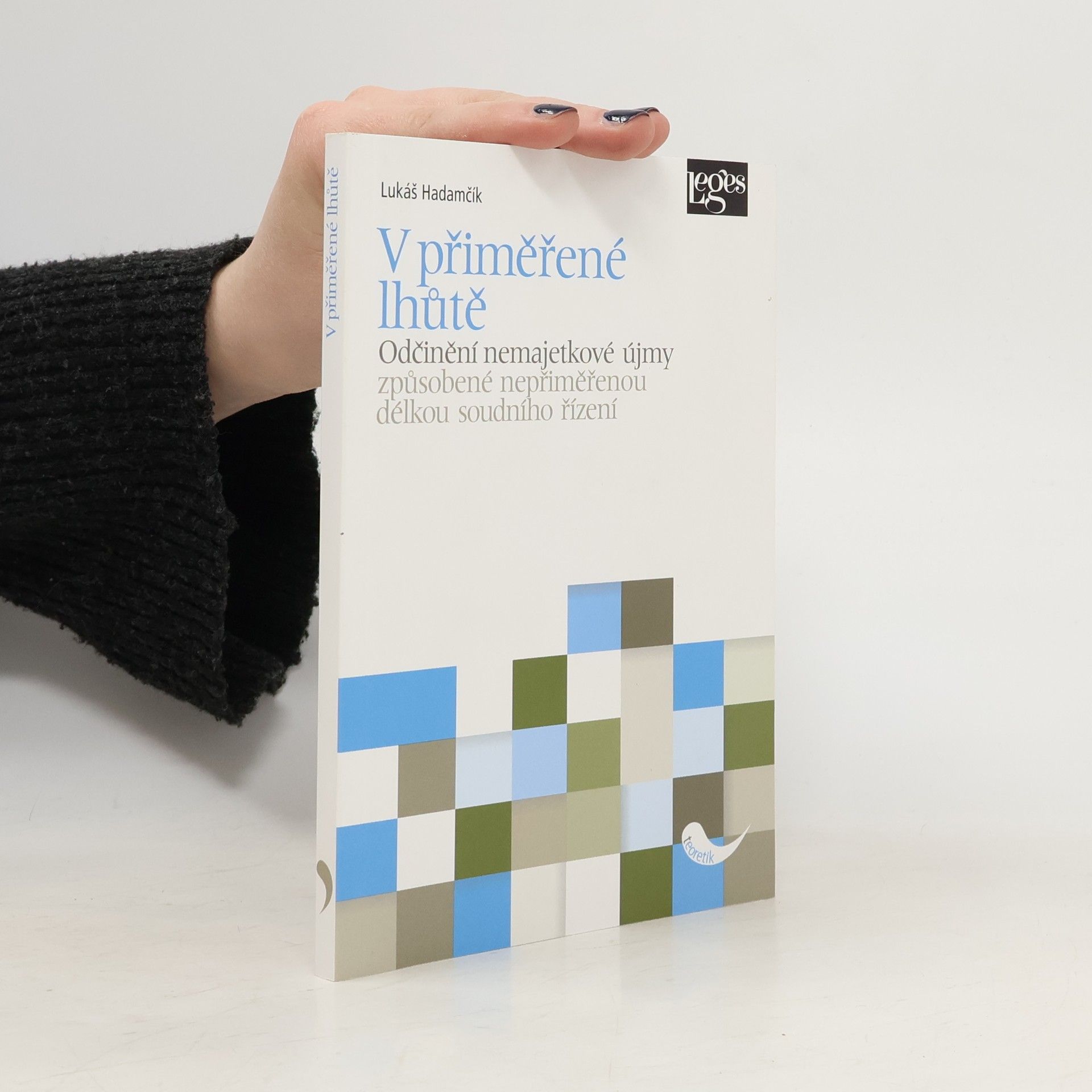 Lukáš Hadamčík V přiměřené lhůtě