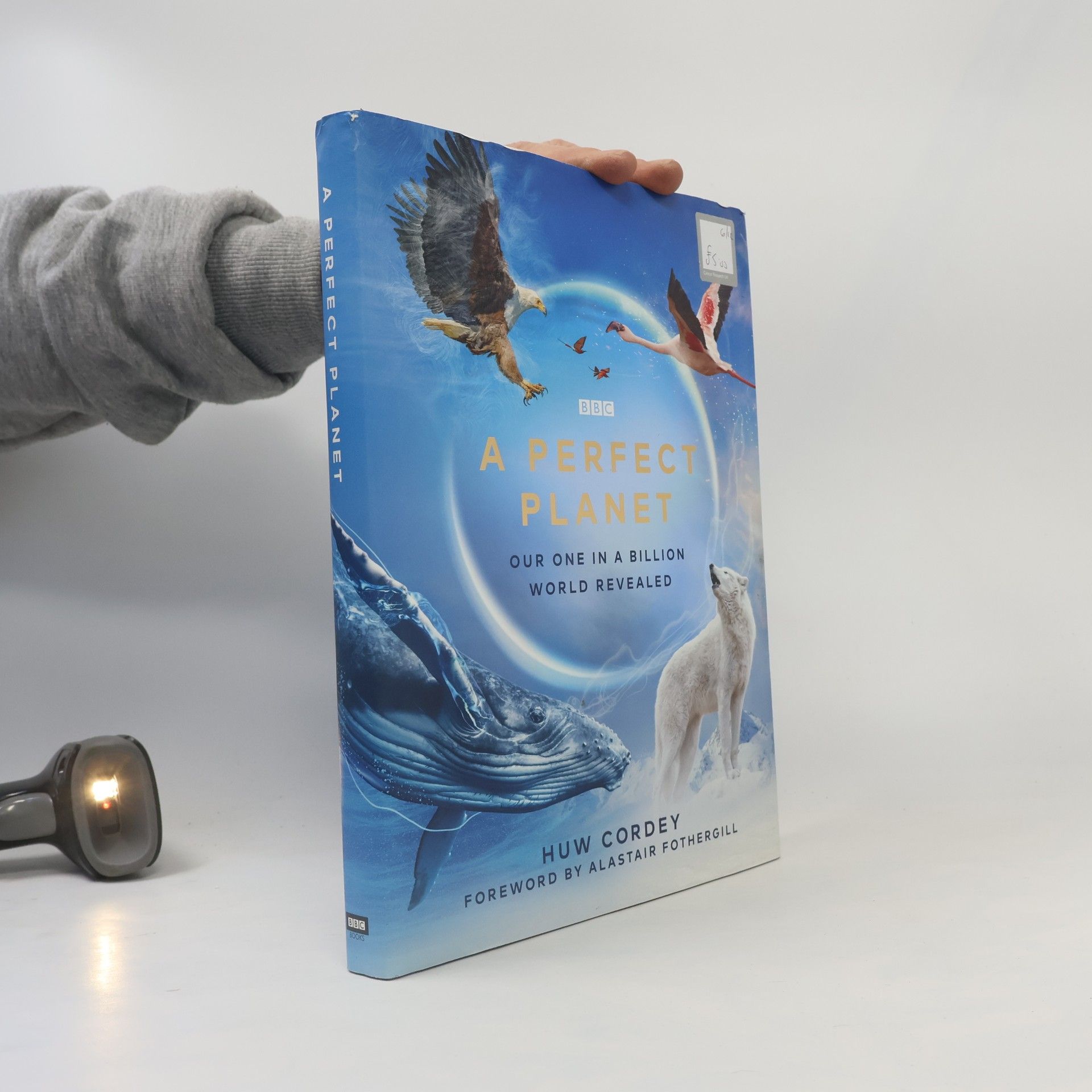 Huw Cordey A Perfect Planet