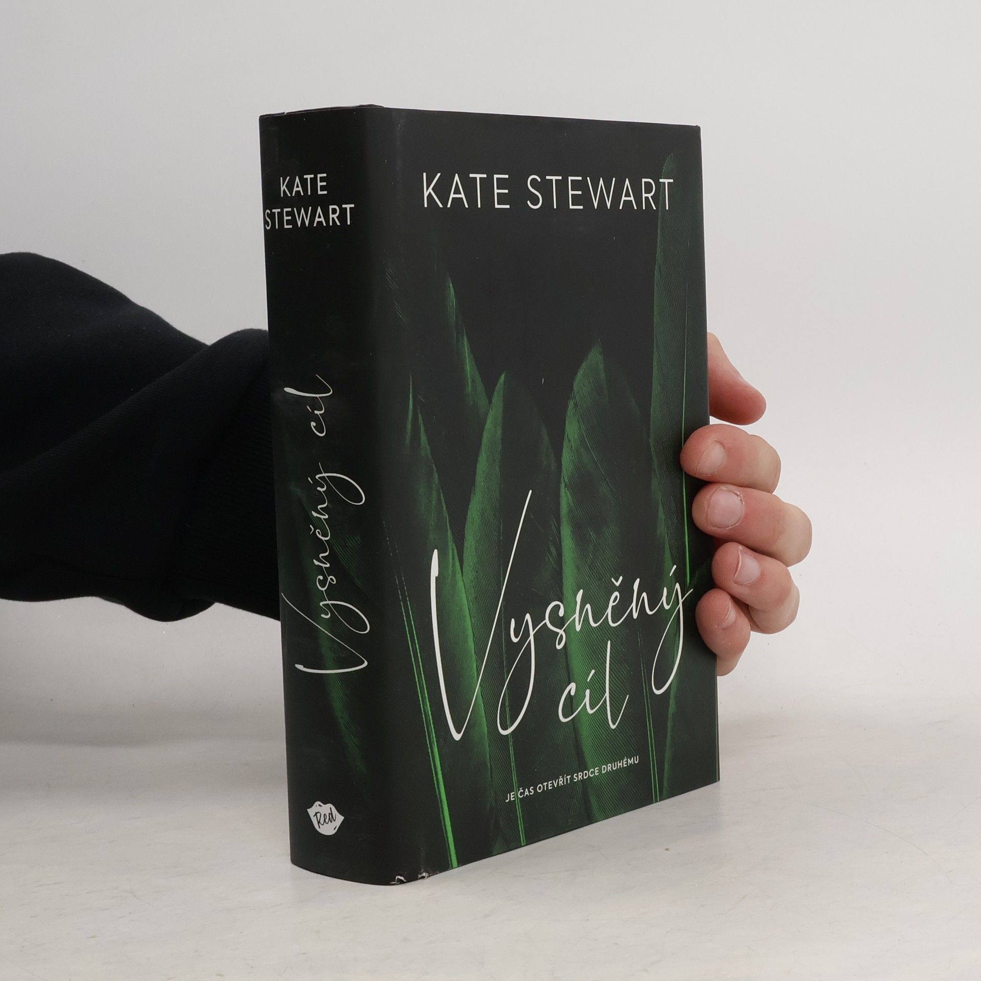 Kate Stewart Vysněný cíl. Kniha třetí