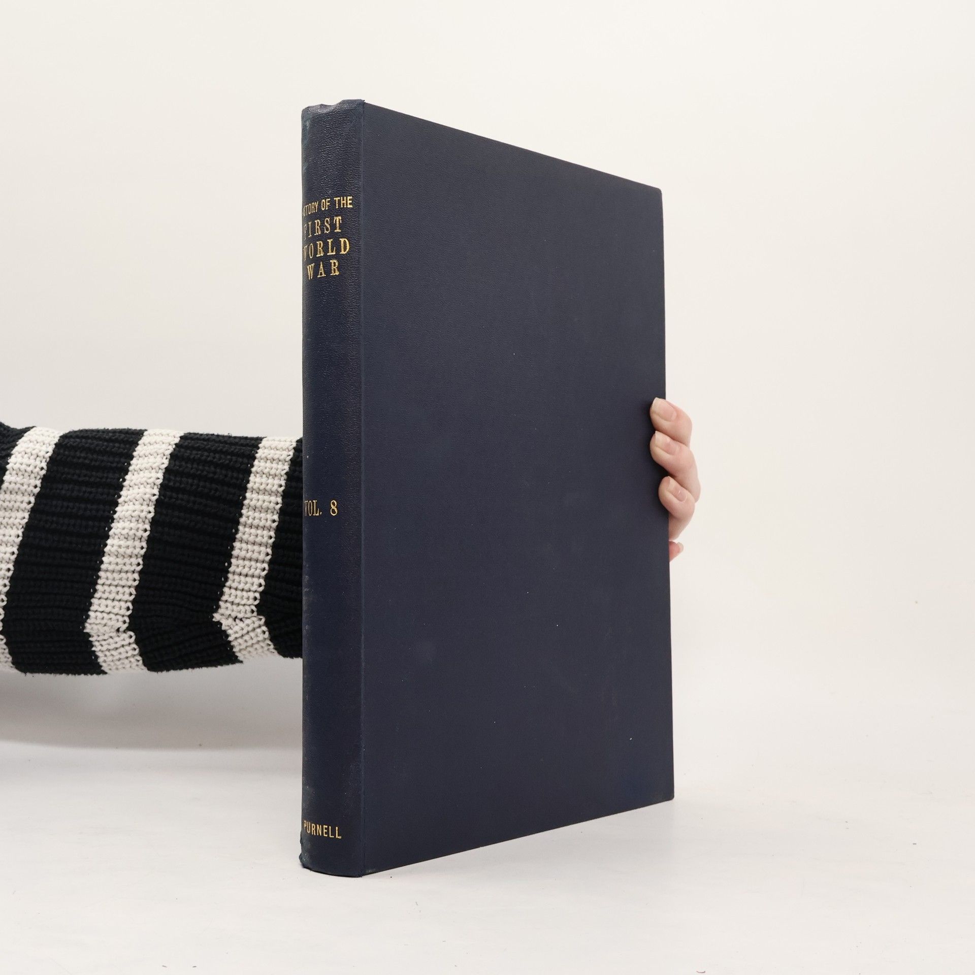 Kolektív autorov History of the First World War 8