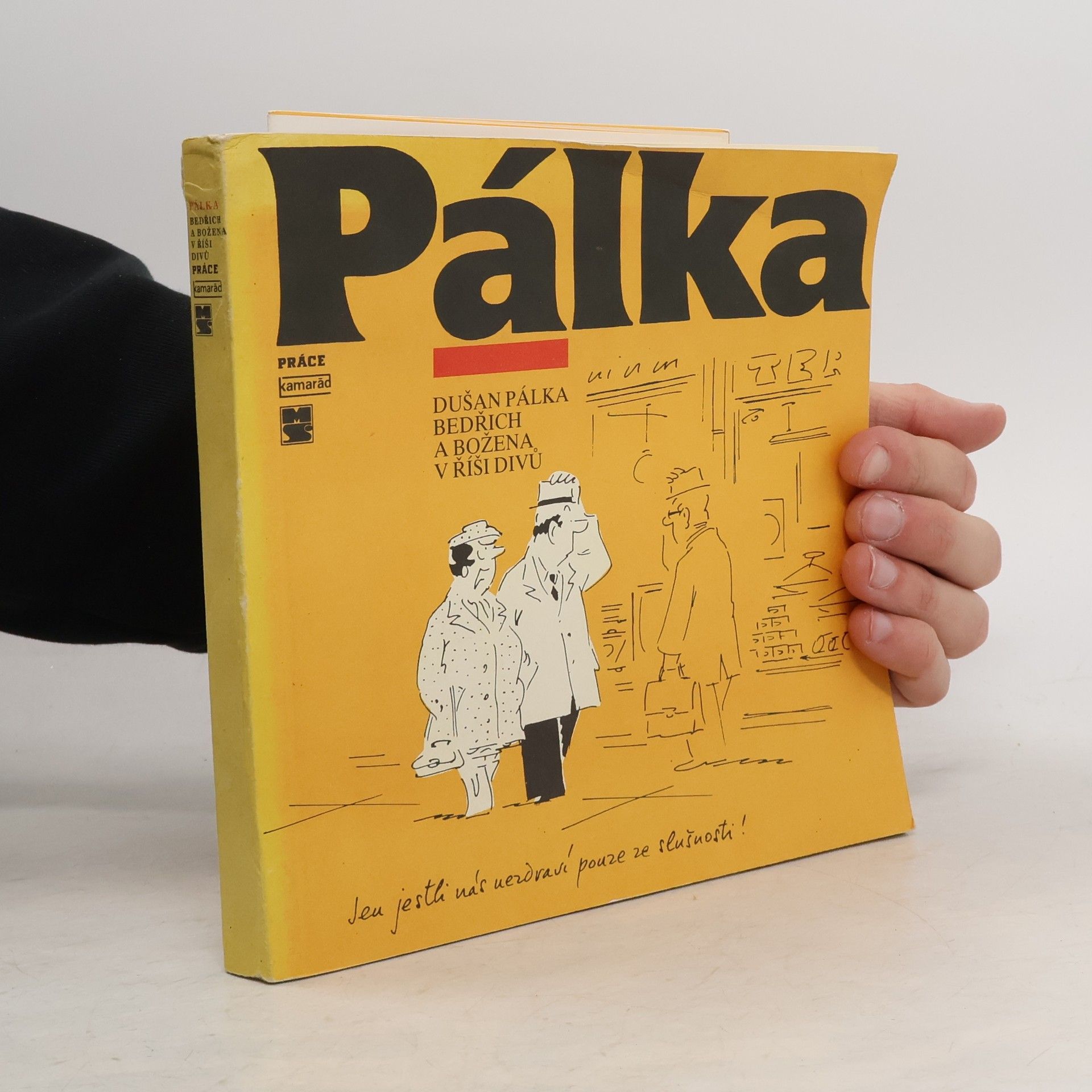 Bedřich a Božena v říši divů