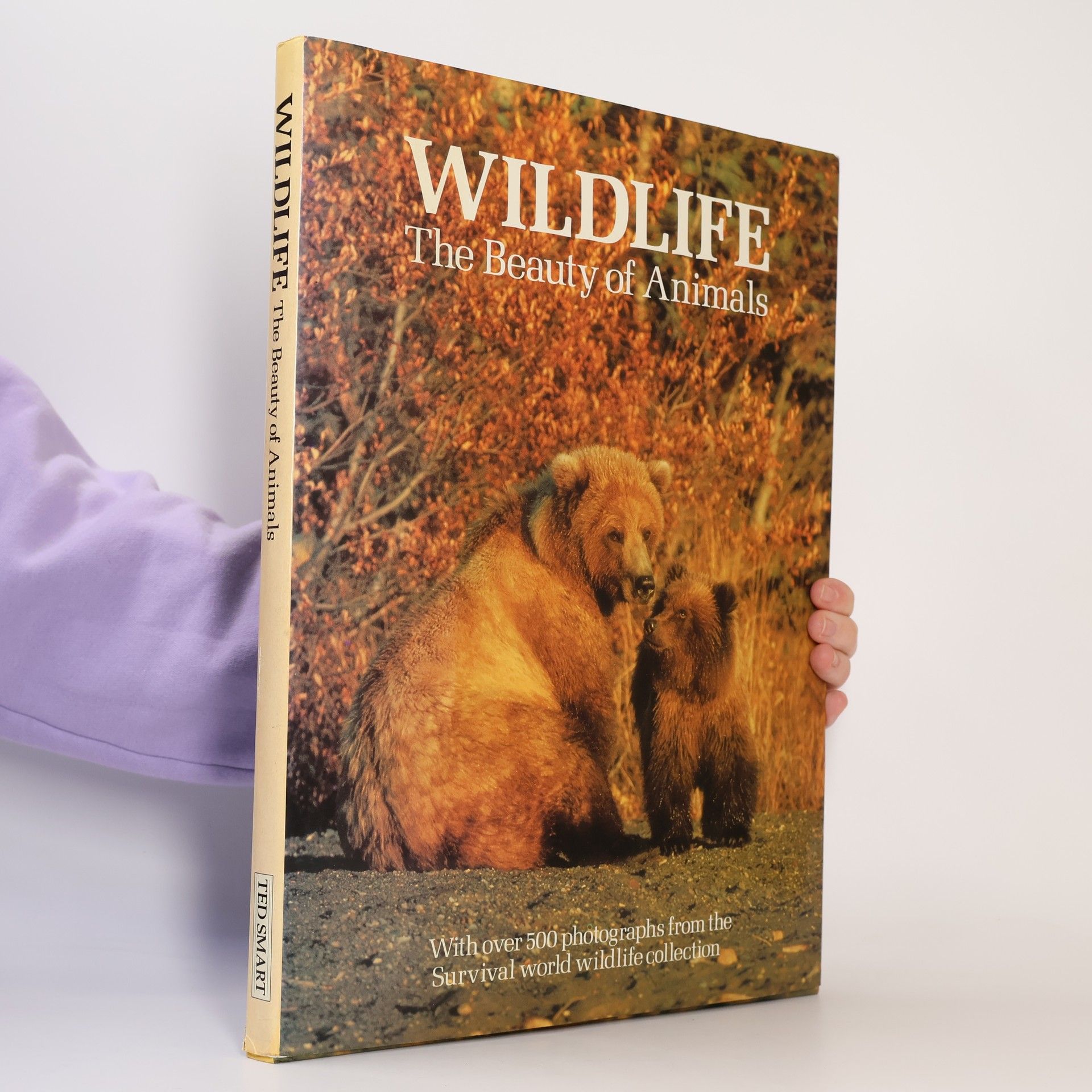 Ted Smart Wildlife The Beauty Of Animals