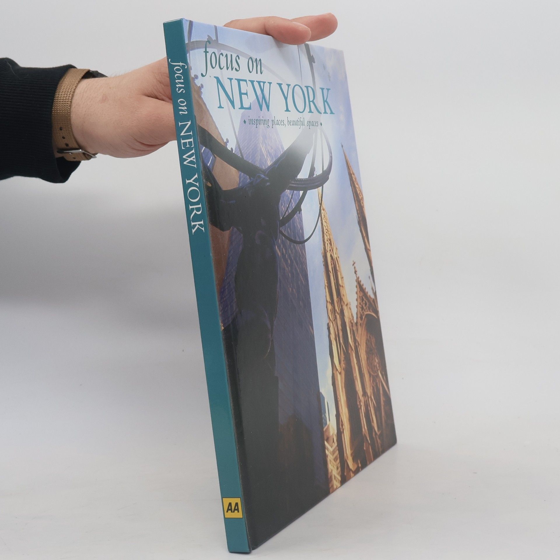 Donna Dailey Focus on New York : inspiring places, beautiful spaces