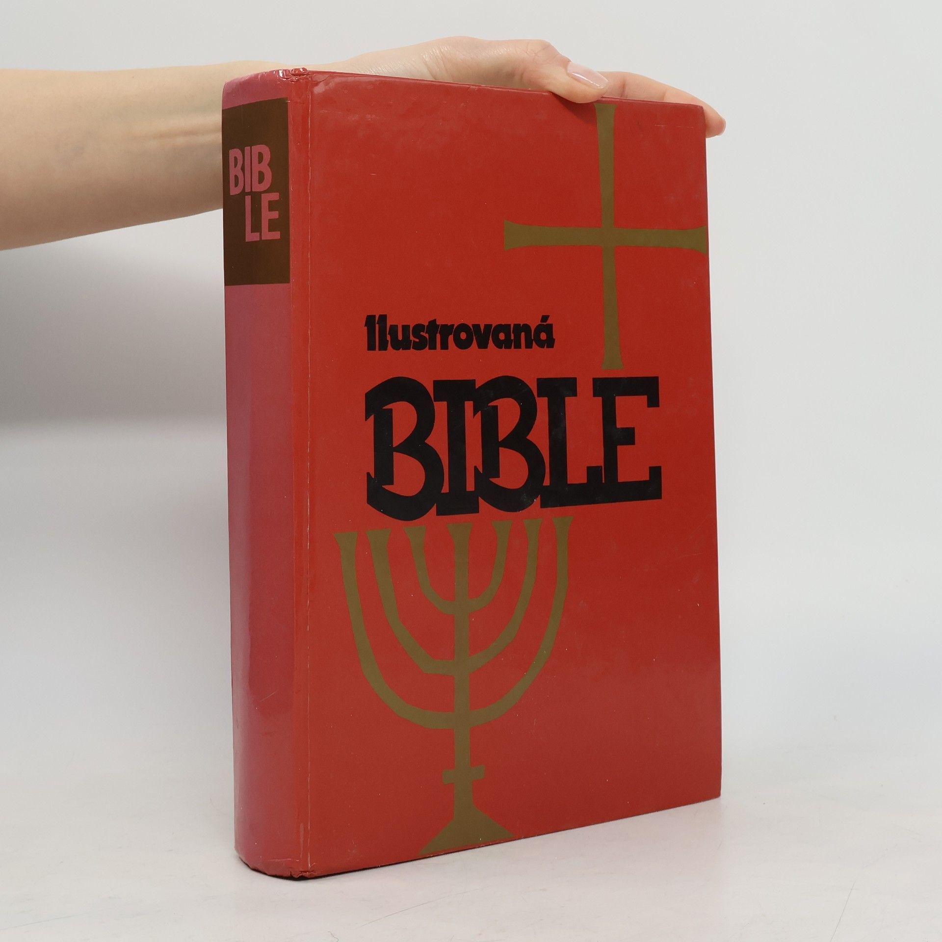 Samuel Terrien Ilustrovaná Bible pro mládež
