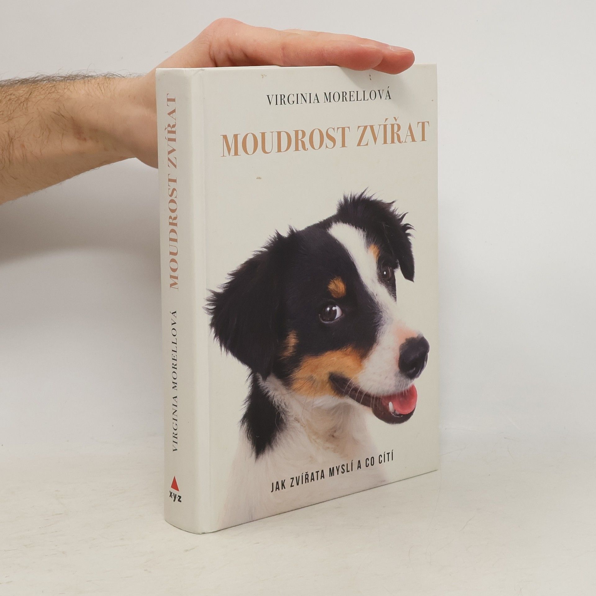 Virginia Morell Moudrost zvířat - Jak zvířata myslí a co cítí