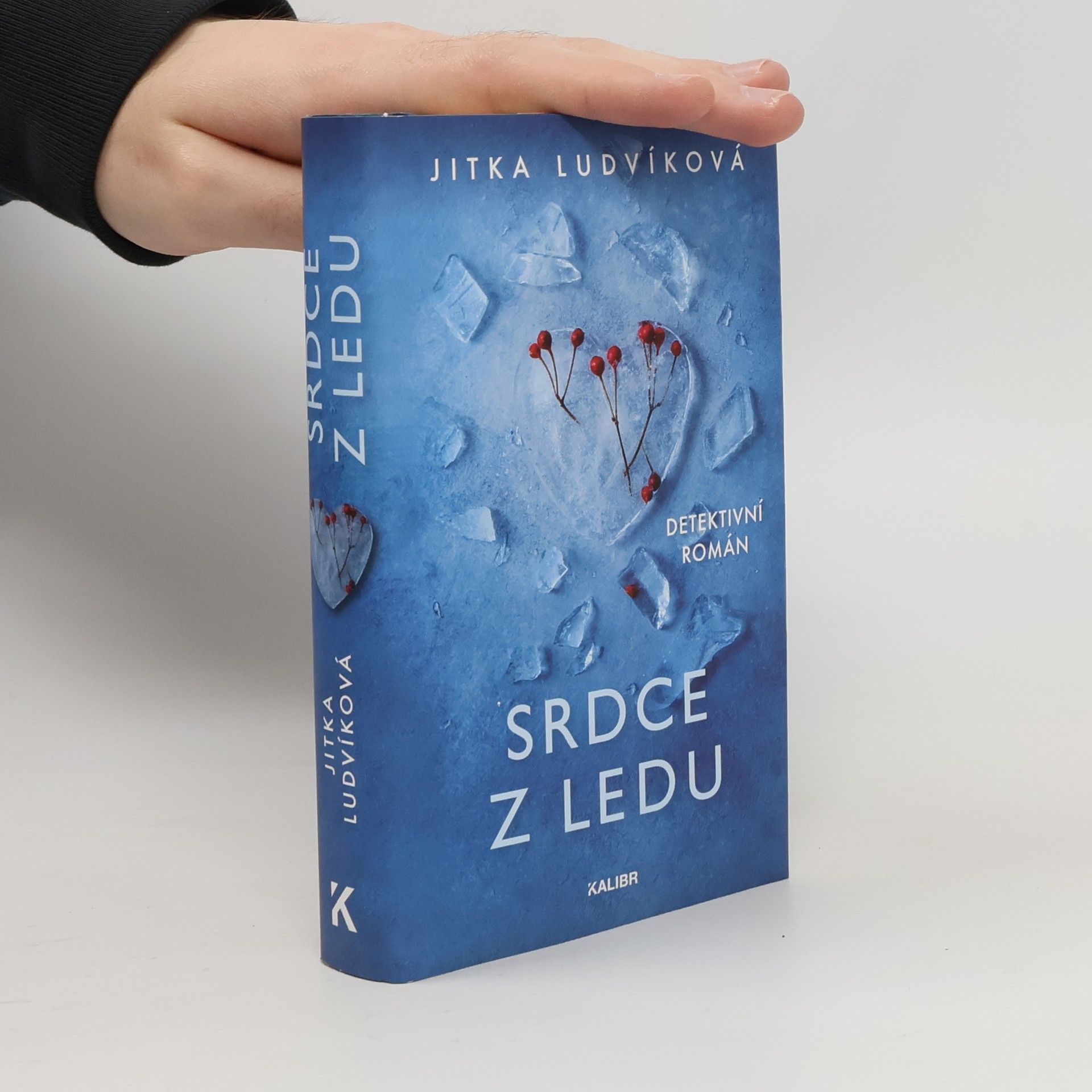 Jitka Ludvíková Srdce z ledu