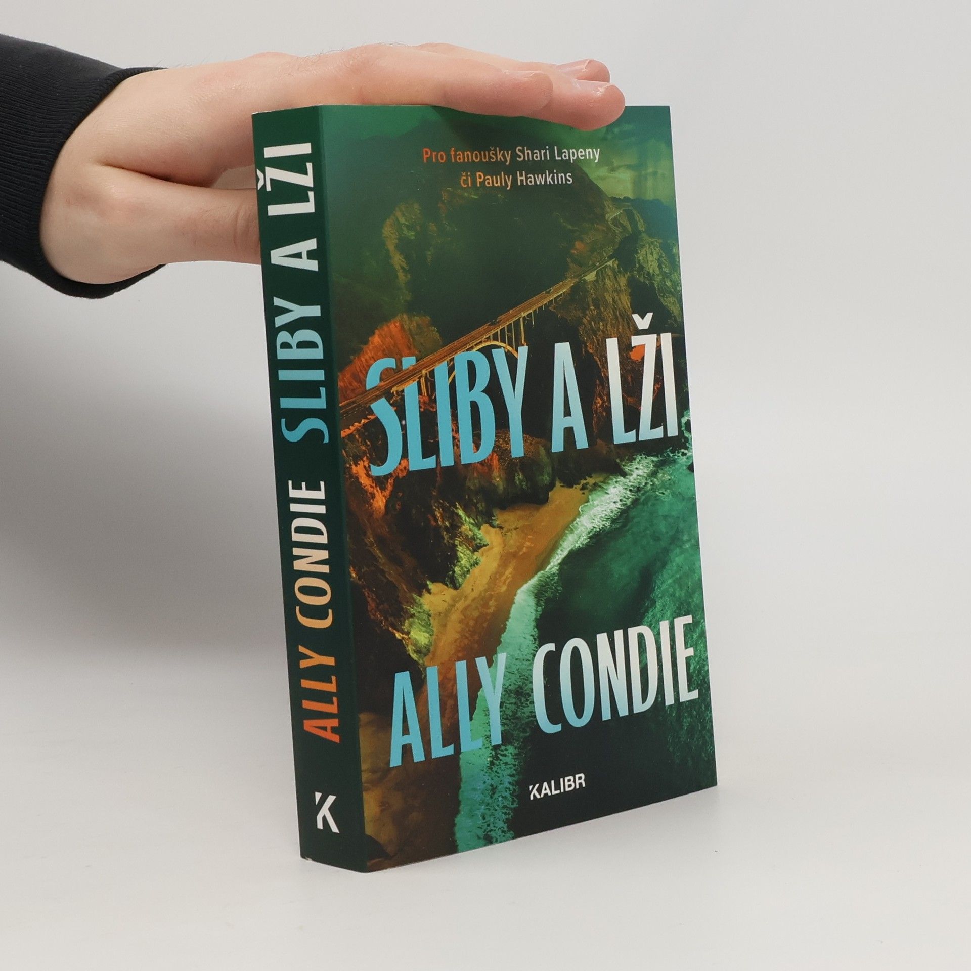 Allyson Braithwaite Condie Sliby a lži