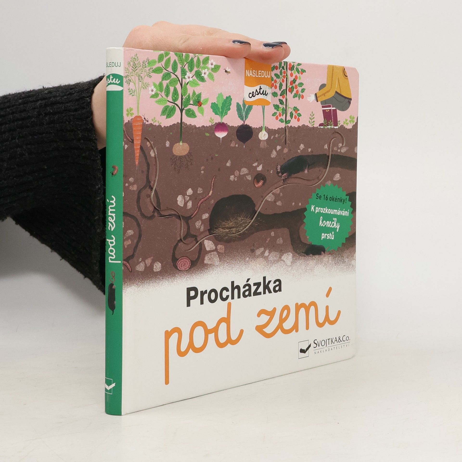 Various authors Procházka pod zemí - Následuj cestu