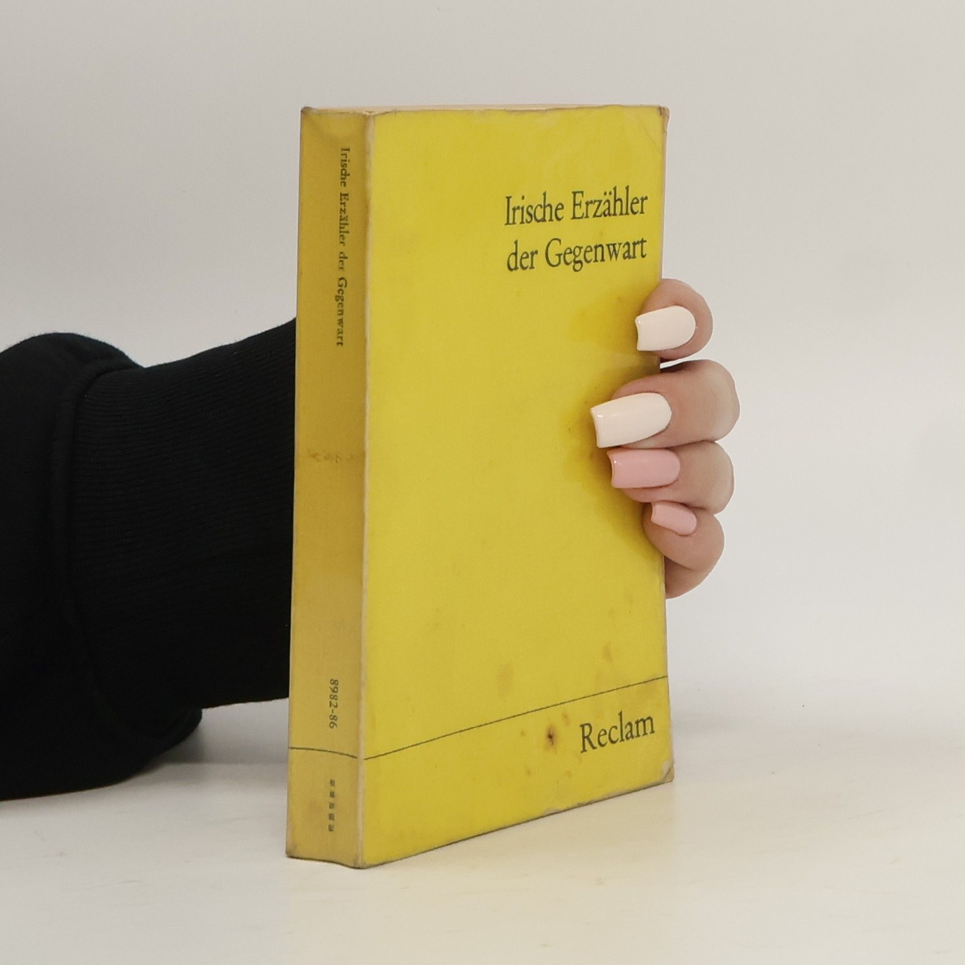 Irische Erzähler der Gegenwart