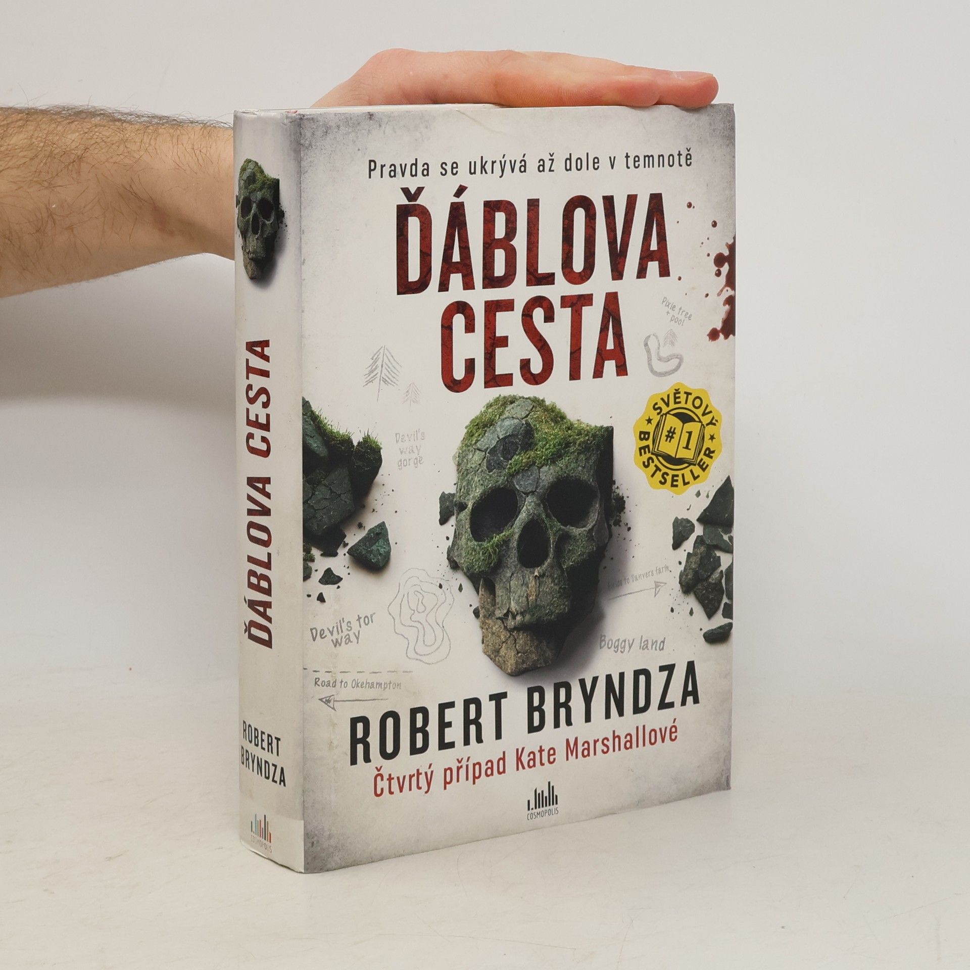 Robert Bryndza Ďáblova cesta