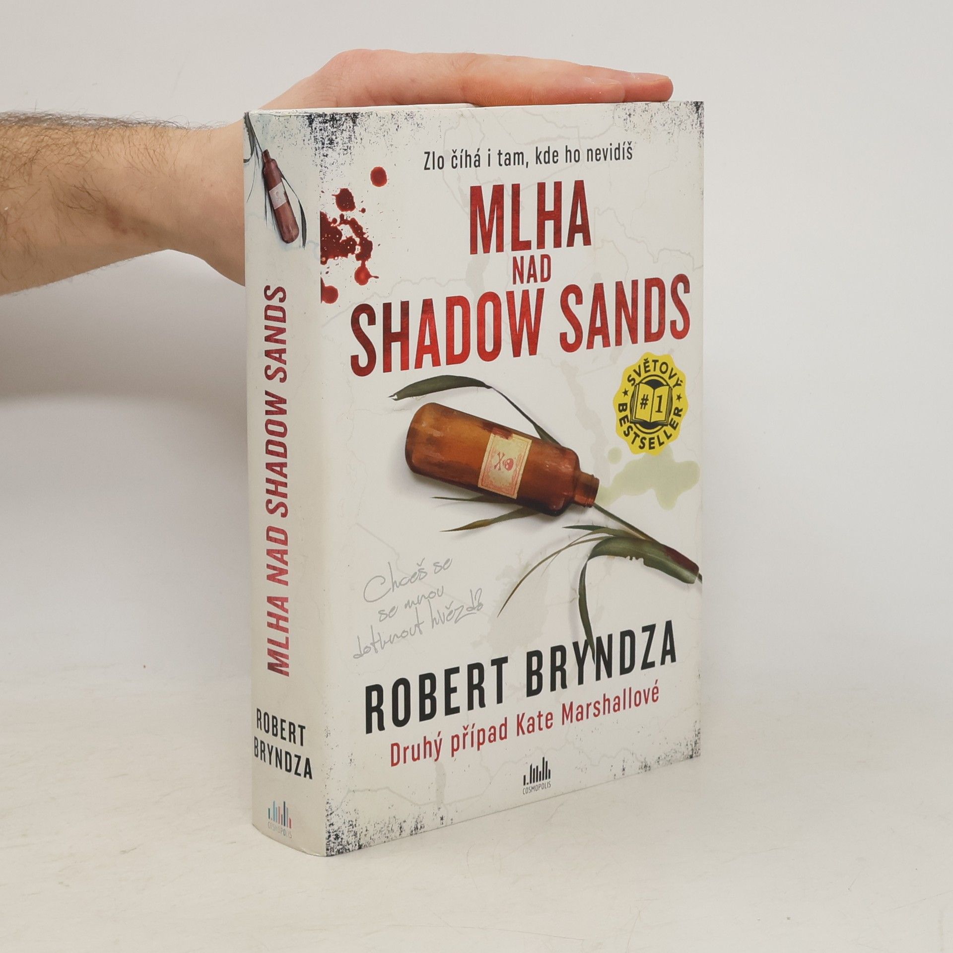Robert Bryndza Mlha nad Shadow Sands