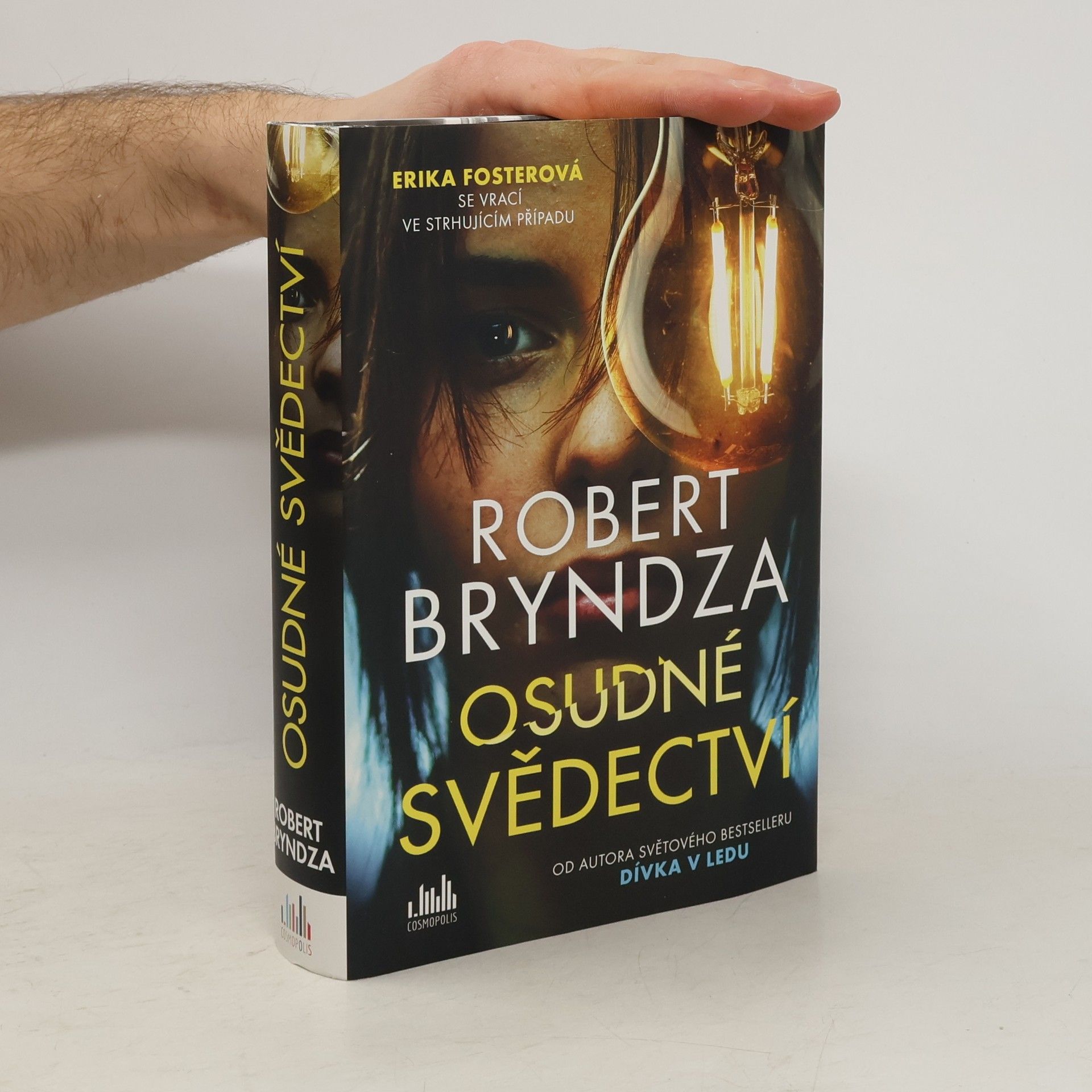 Robert Bryndza Osudné svědectví
