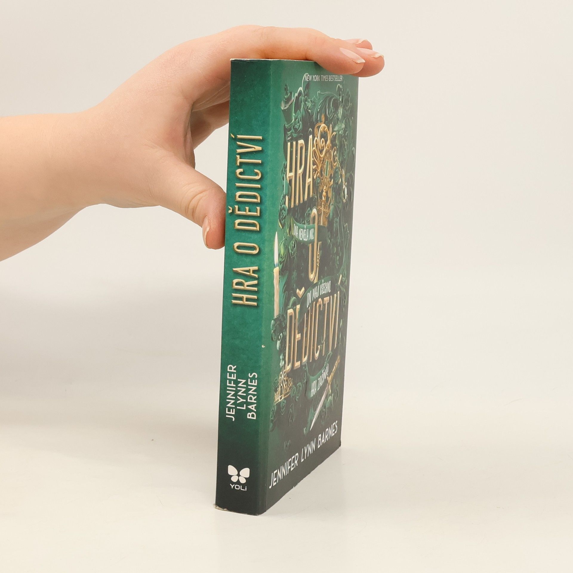 Jennifer Lynn Barnes Hra o dědictví