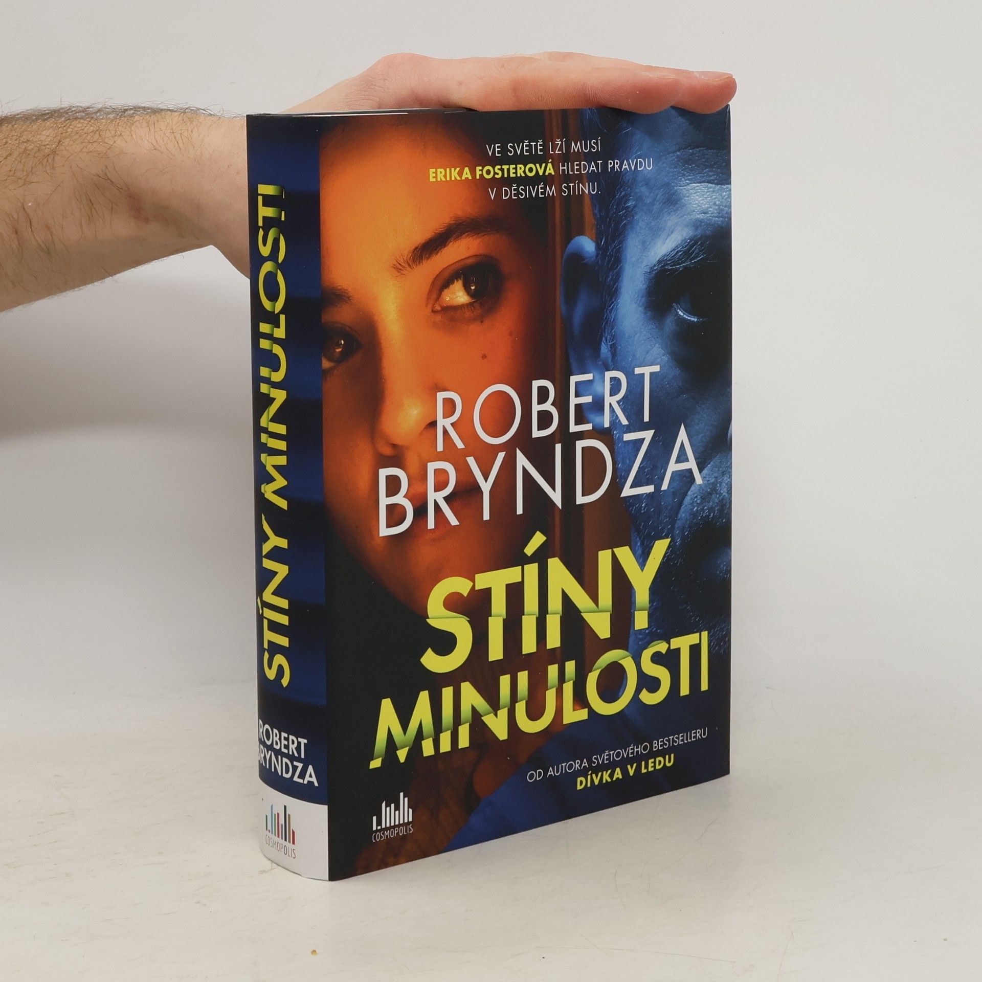 Robert Bryndza Stíny minulosti