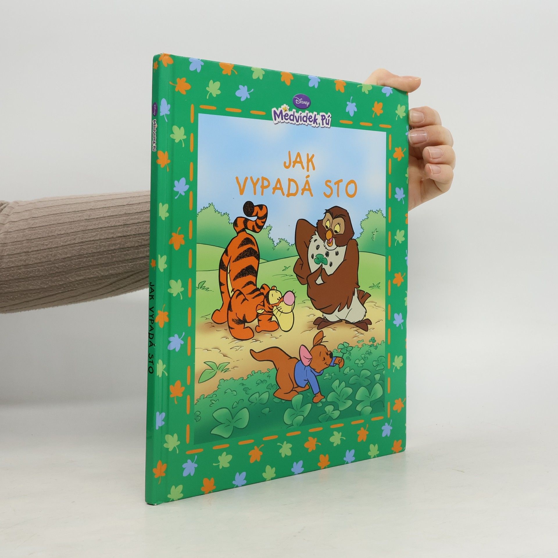 Walt Disney Medvídek Pú - Jak vypadá sto