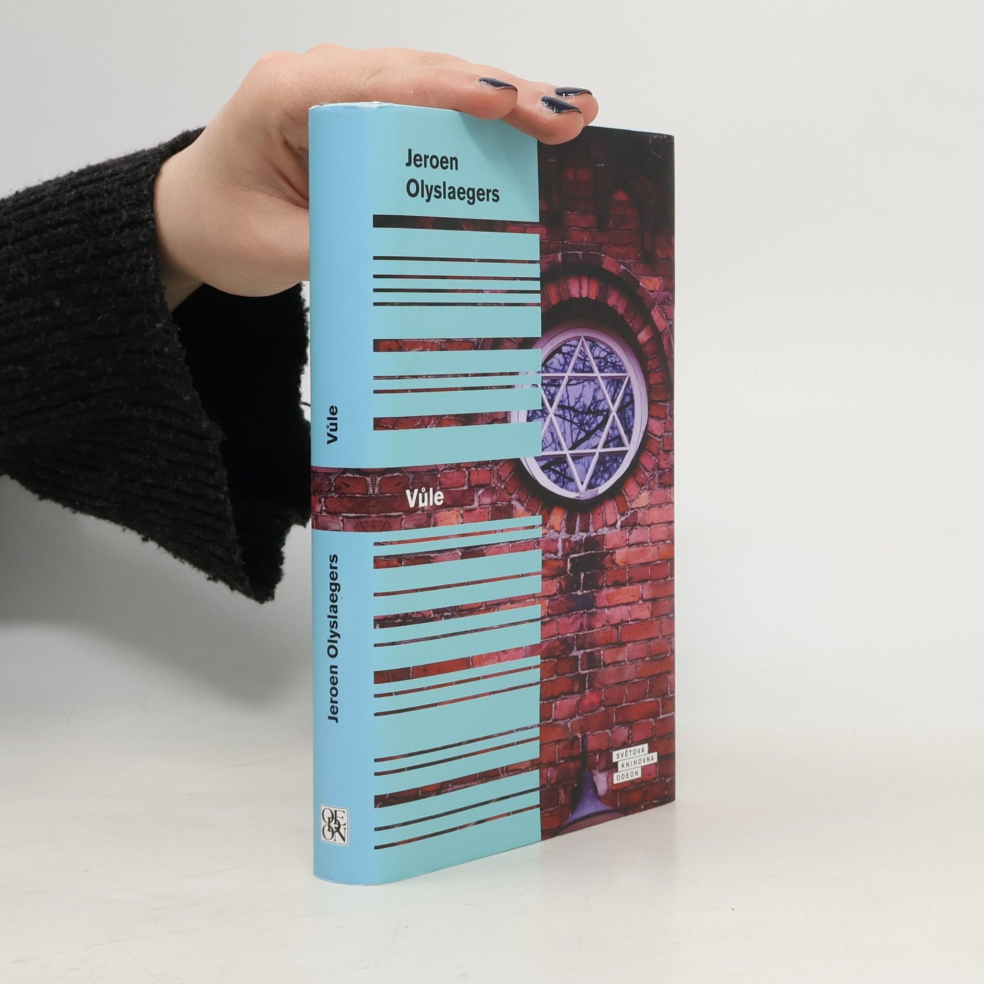 Jeroen Olyslaegers Vůle