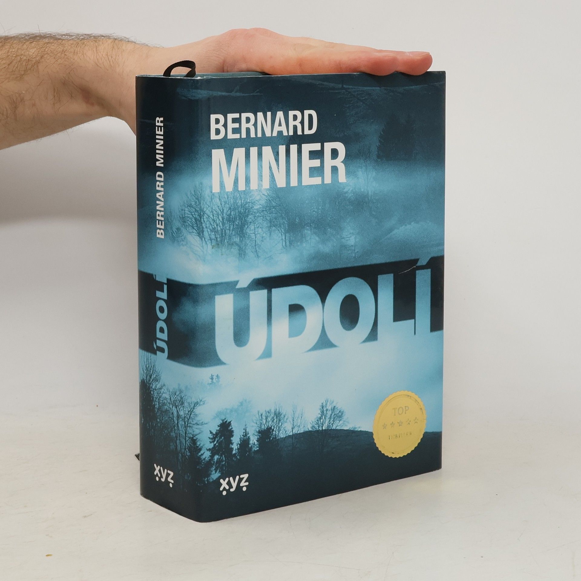 Bernard Minier Údolí