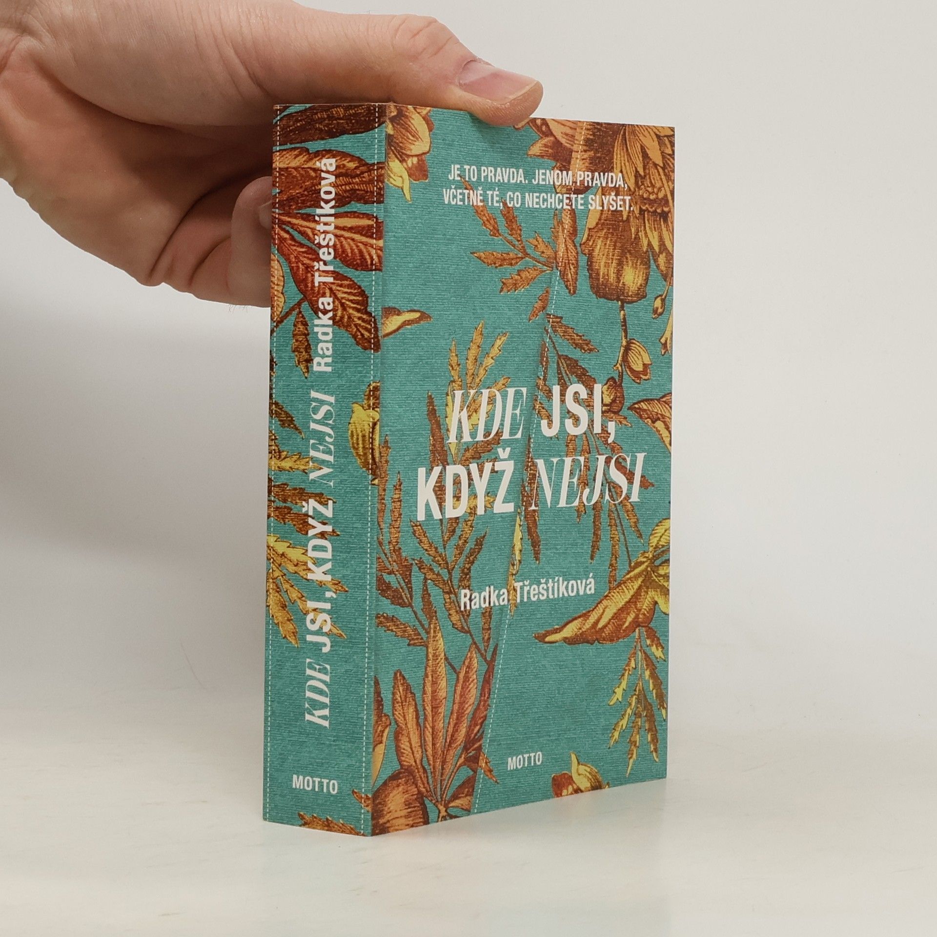 Radka Třeštíková Kde jsi, když nejsi