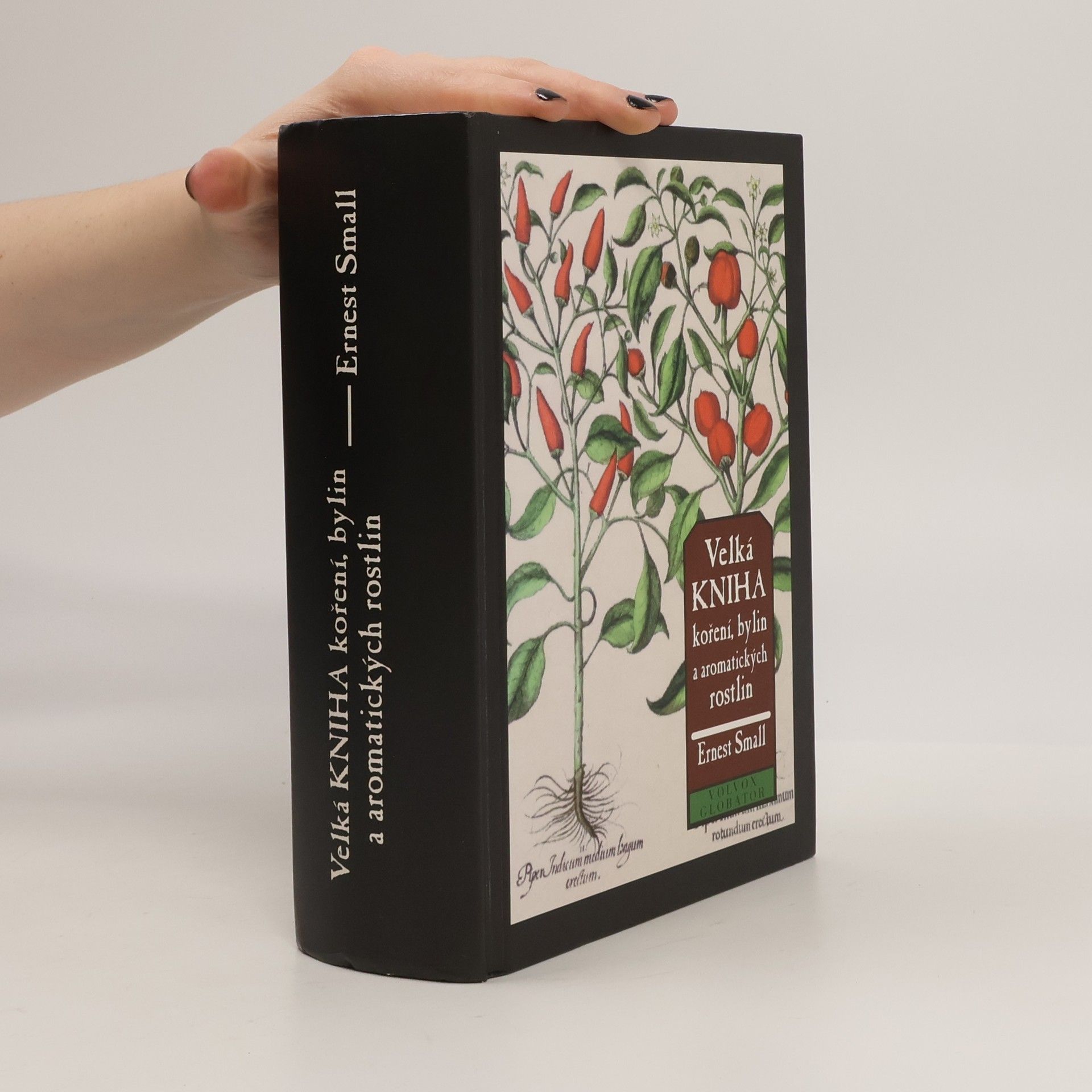 Ernest Small Velká kniha koření, bylin a aromatických rostlin