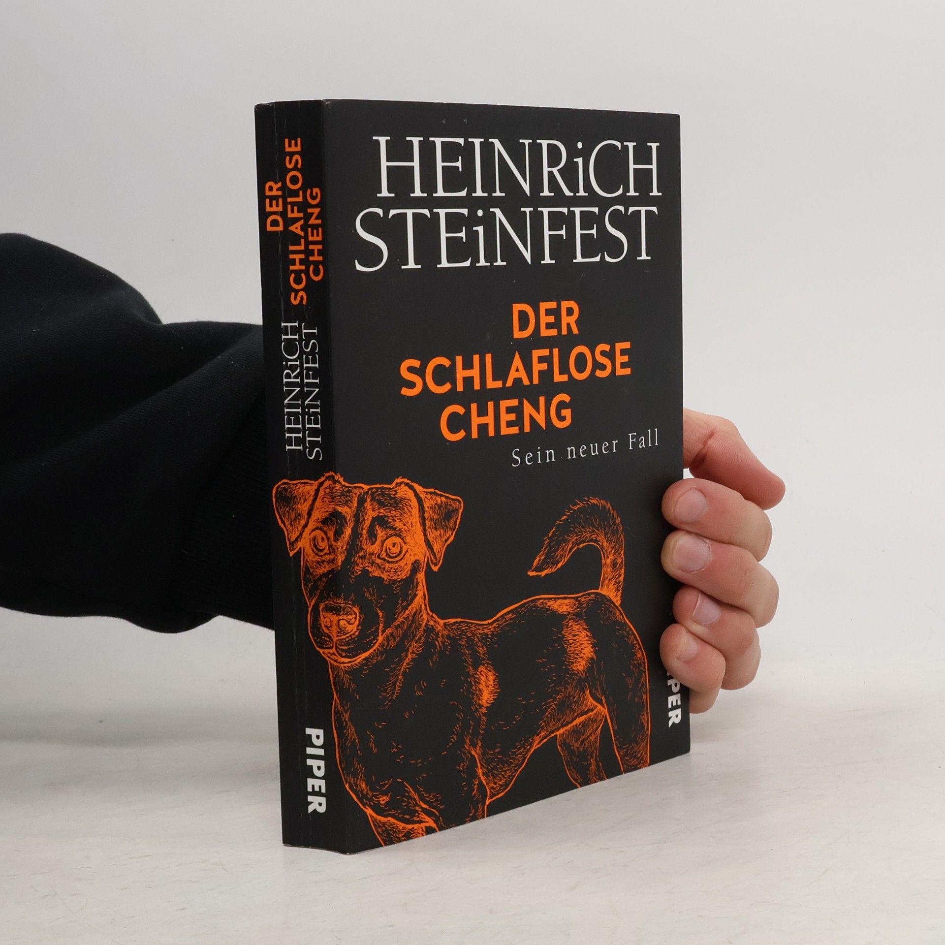 Heinrich Steinfest Der schlaflose Cheng