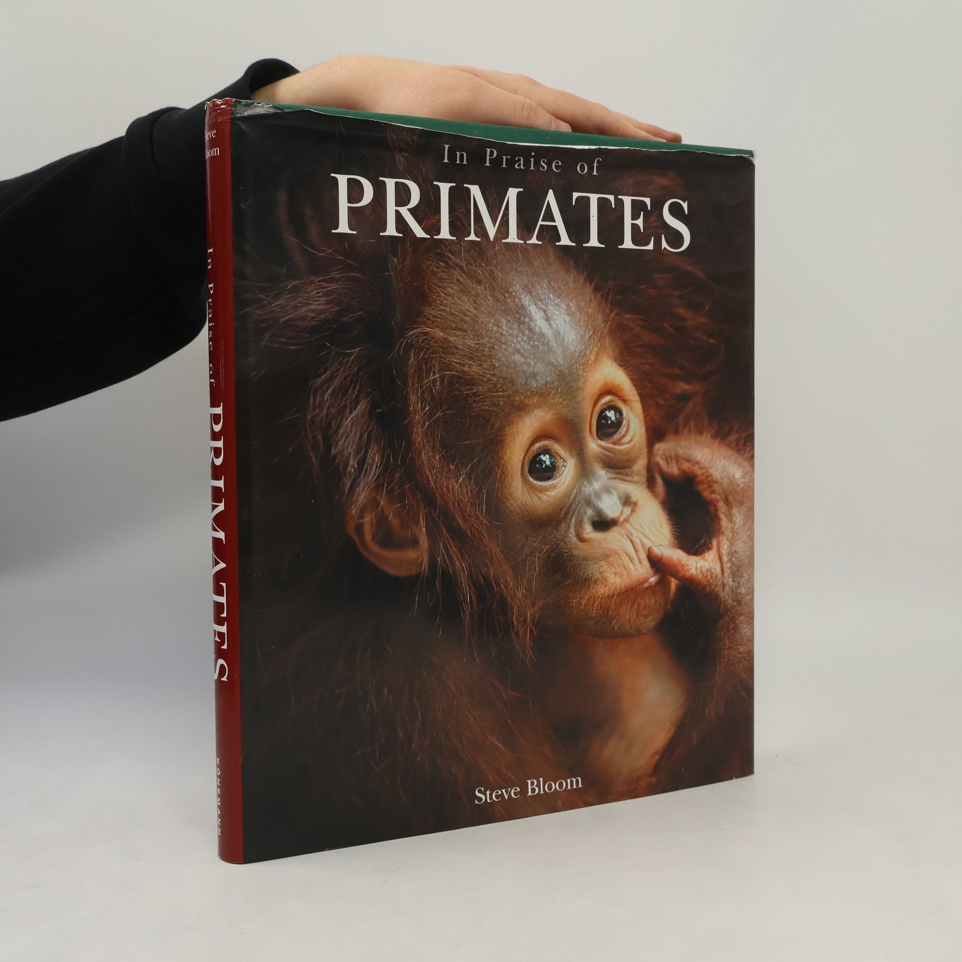 Steve Bloom In Praise of Primates