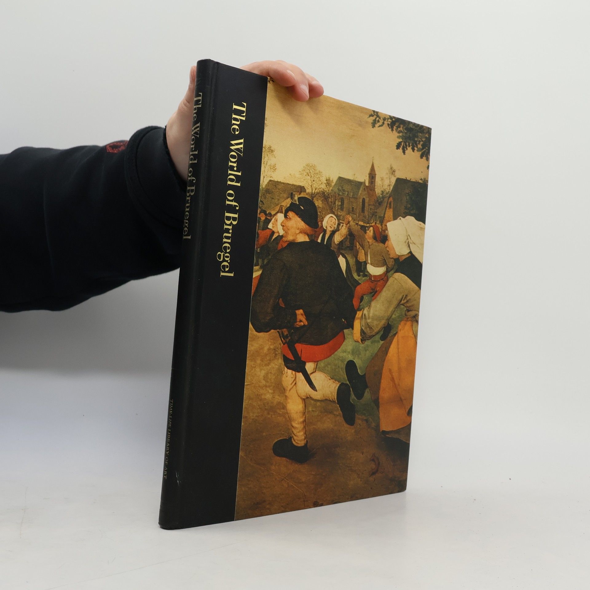 AA.VV. The World of Bruegel