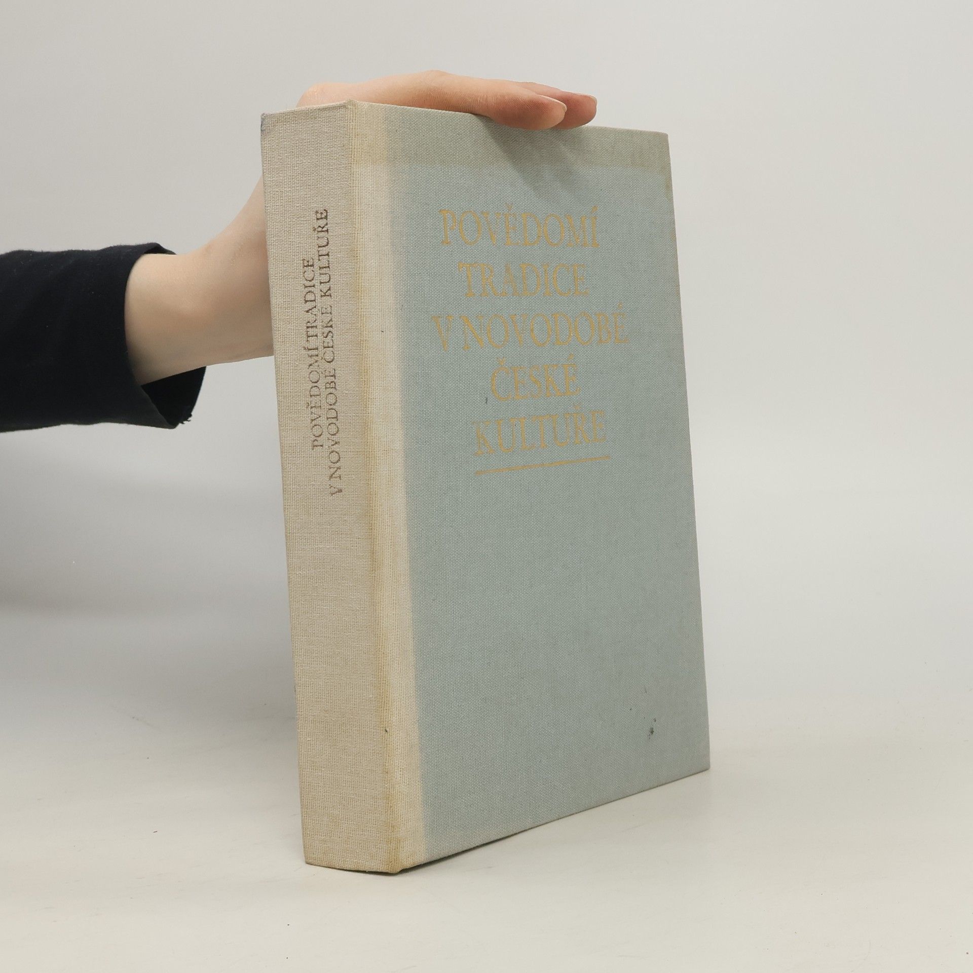 Kolektiv autorů Povědomí tradice v novodobé české kultuře (doba Bedřicha Smetany)