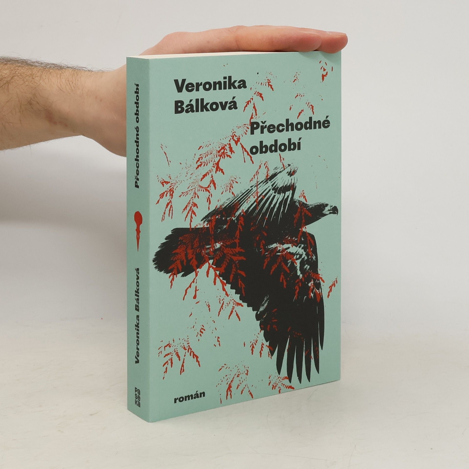 Veronika Bálková Přechodné období