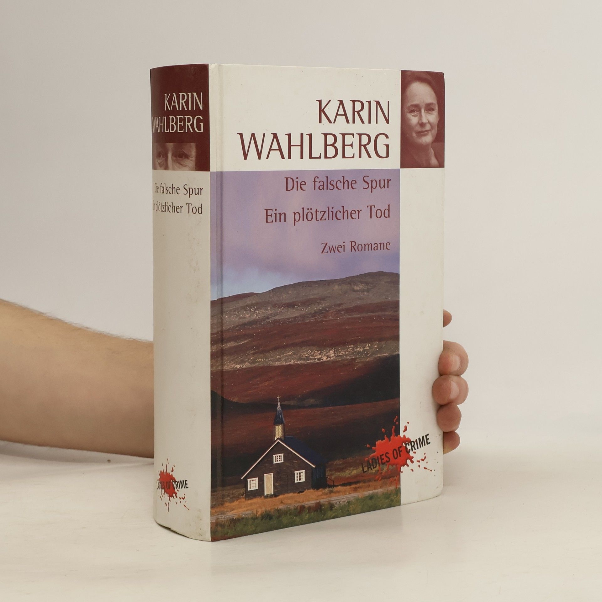 Karin Wahlberg Die falsche Spur Ein plötzlicher Tod